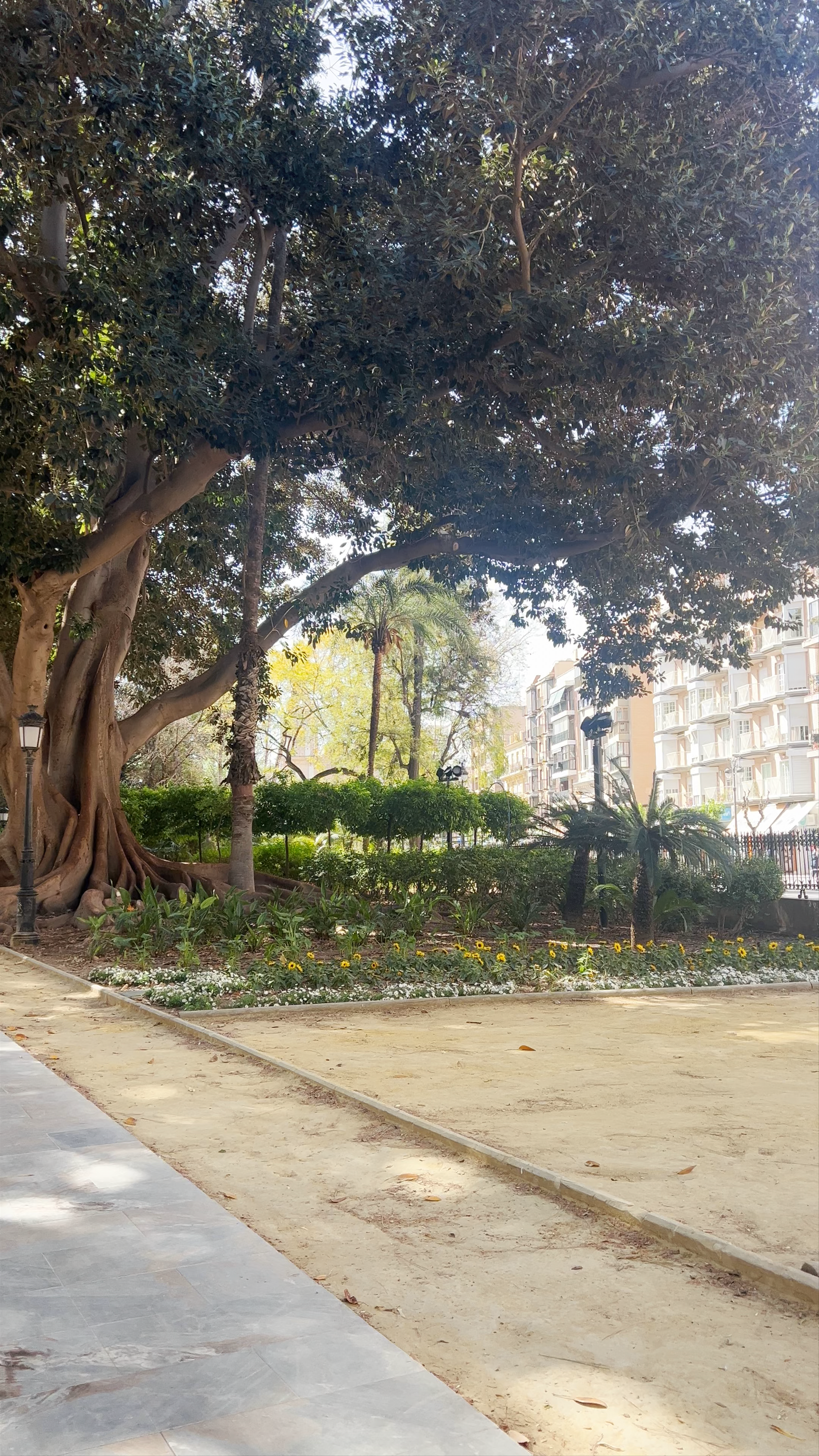 Jardín de Floridablanca