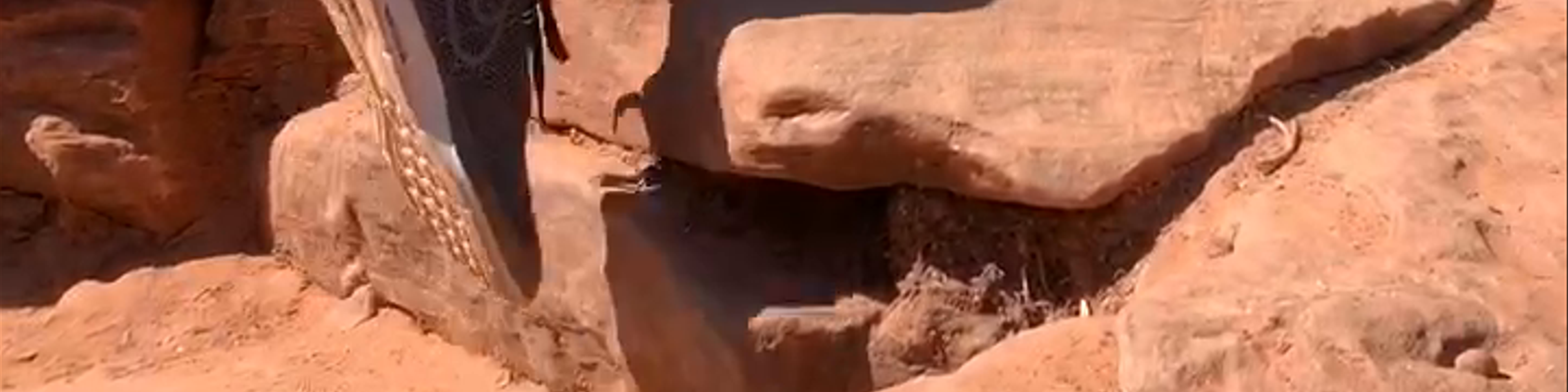 Arizona