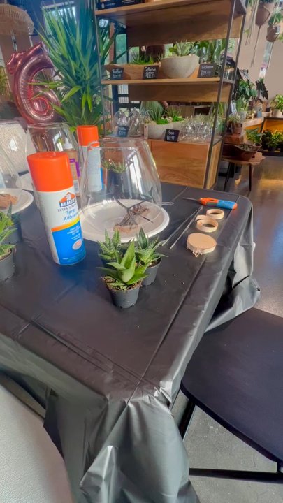 LiveTrends - Terrarium making - Nurseries & Gardening Near Me - Winter Garden, Florida