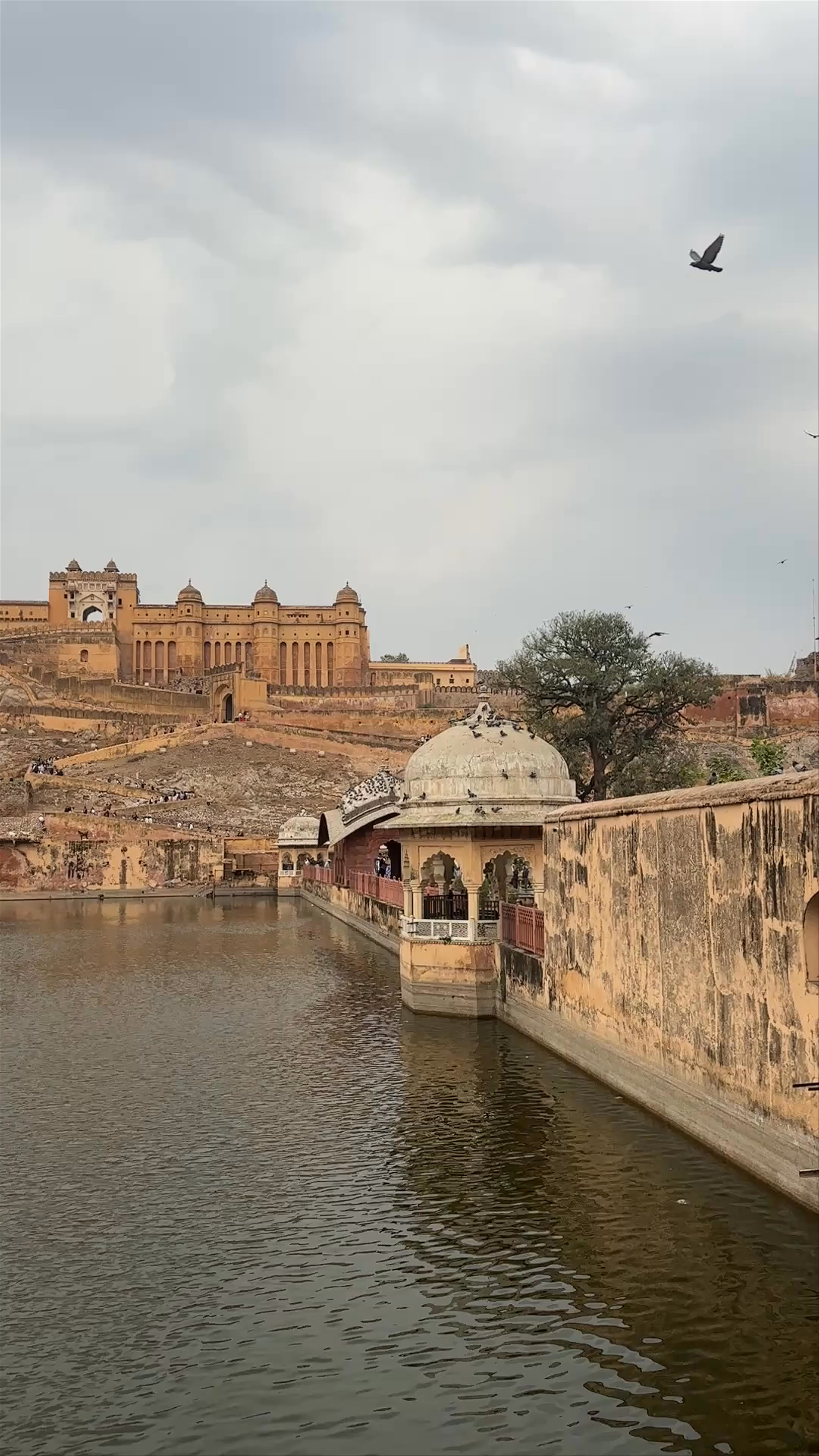 Amber Fort