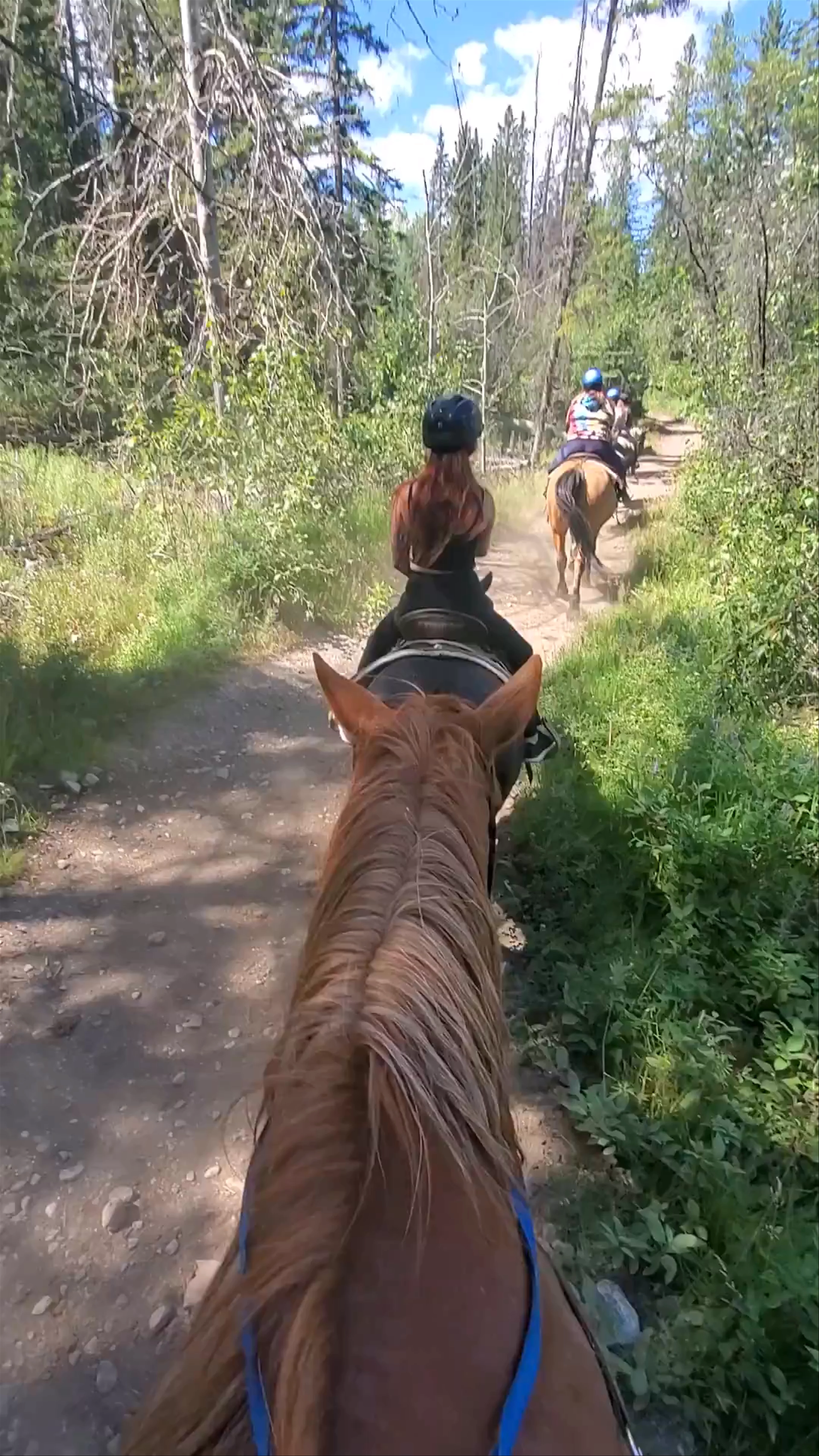 Banff Trail Riders - Stables, Sundance Road, Banff, AB, Canada
