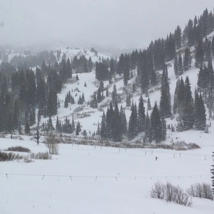 Snowpine Lodge - The best of the best! Oh my!!!! This is the ultimate in skiing! - Ski Resorts Near Me - Alta, Utah