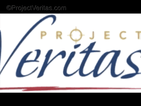 Video Thumbnail Loop