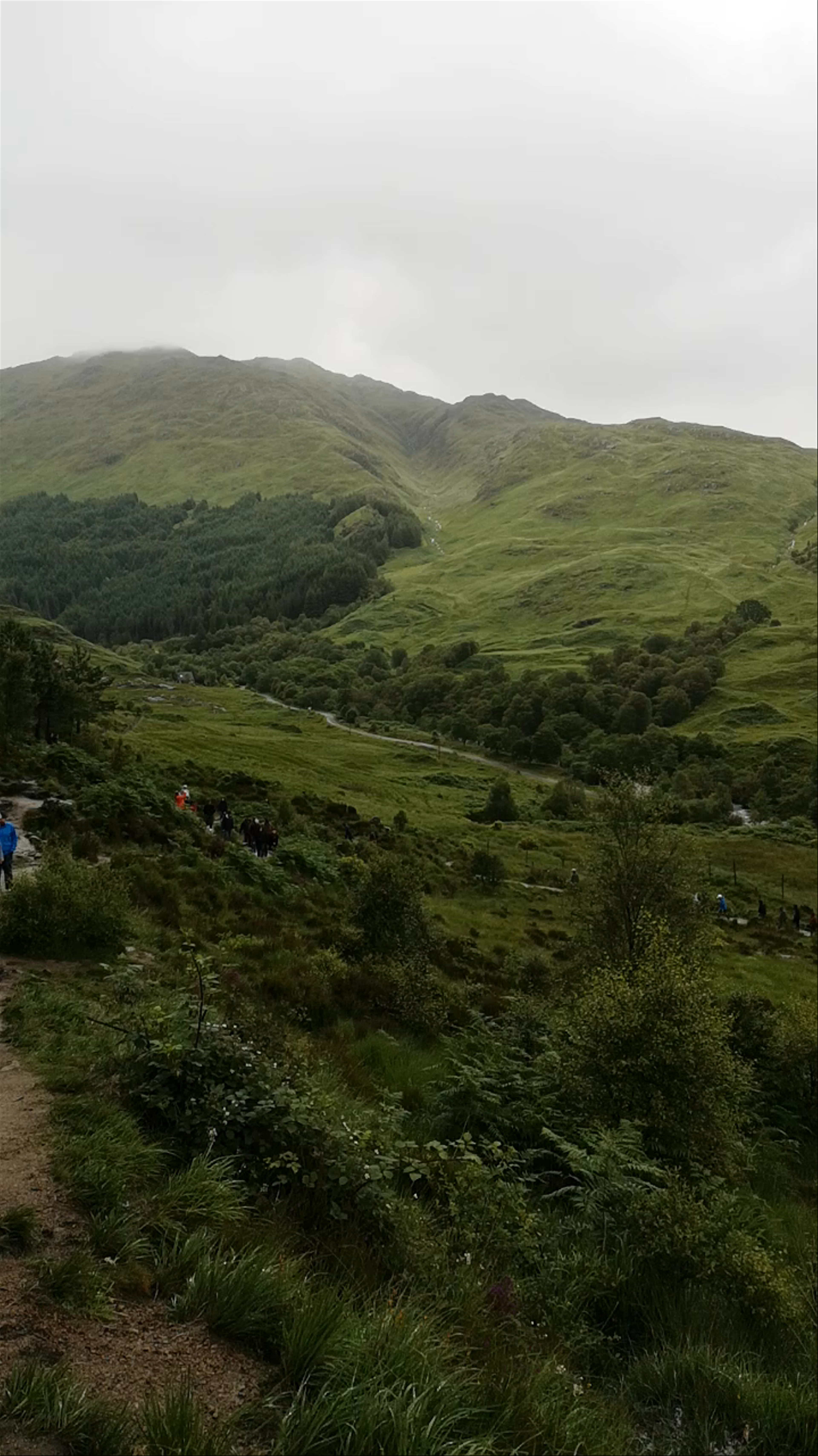 Glenfinnan Viaduct