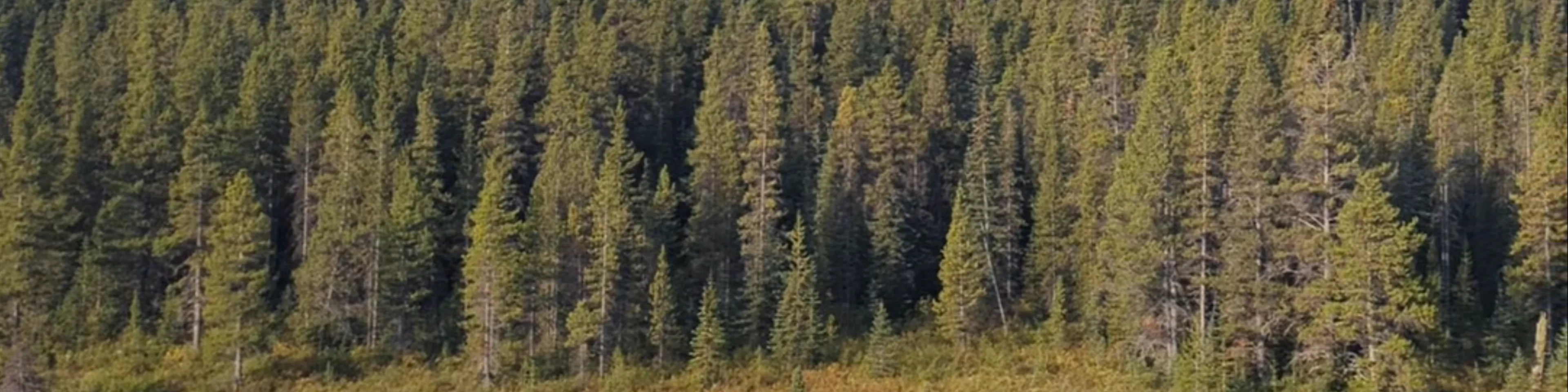 Prairie View Trail Parking