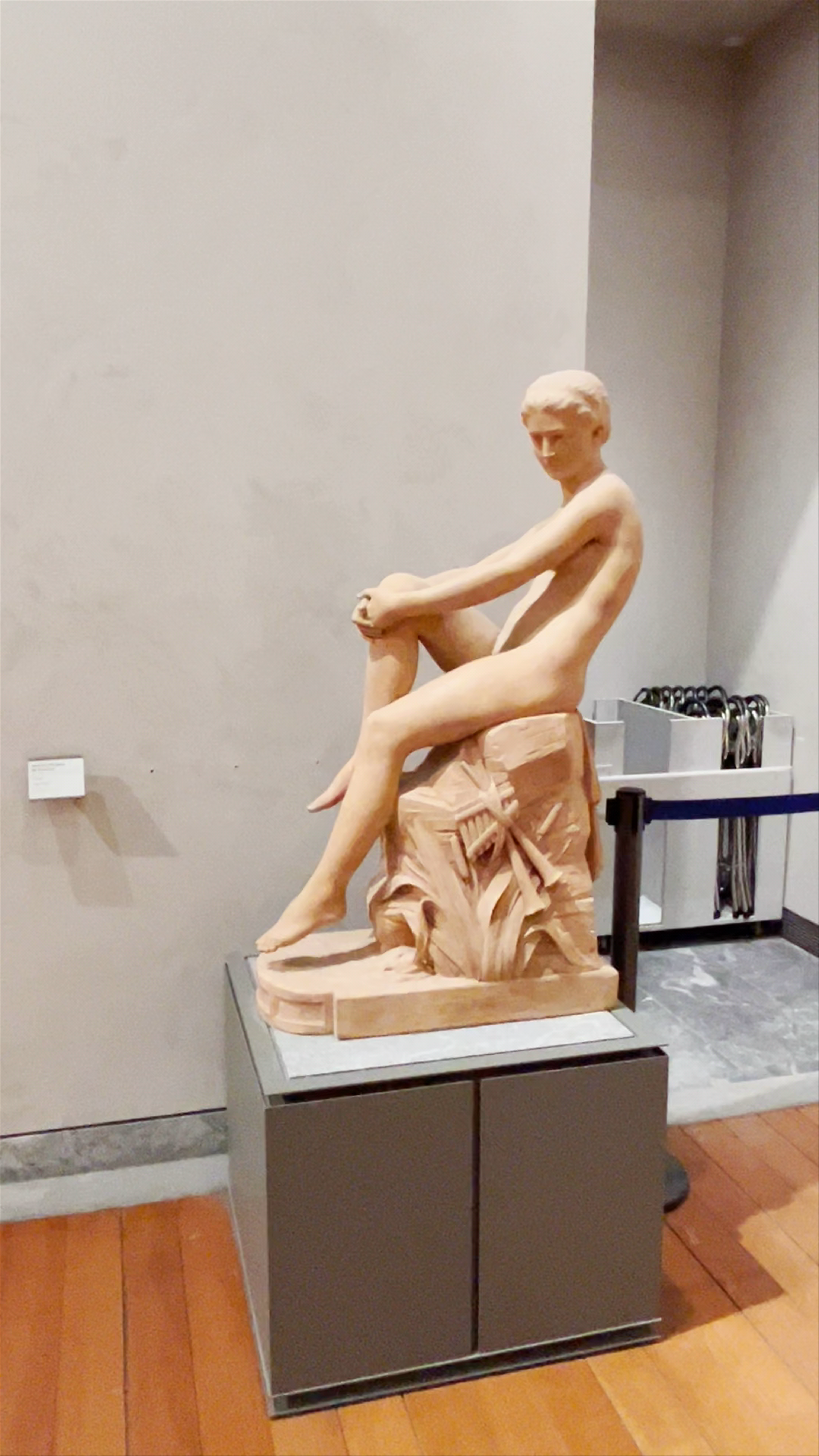 Musée des Beaux-Arts de Lyon