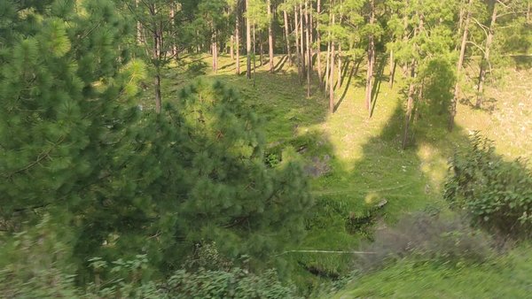 Photo of Neelkanth- Lansdowne