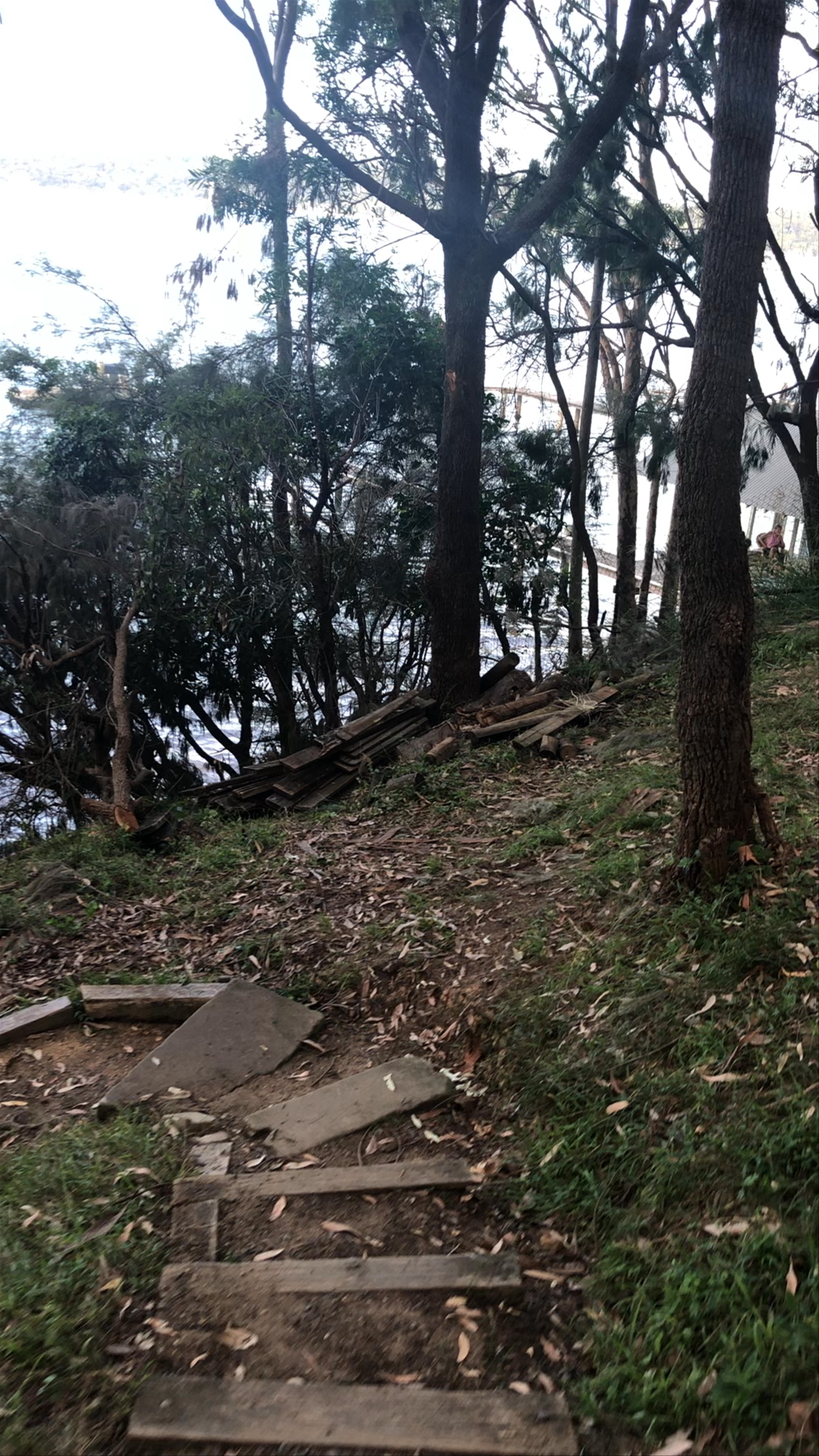 Winding Nature Path at Morning Bay, New South Wales