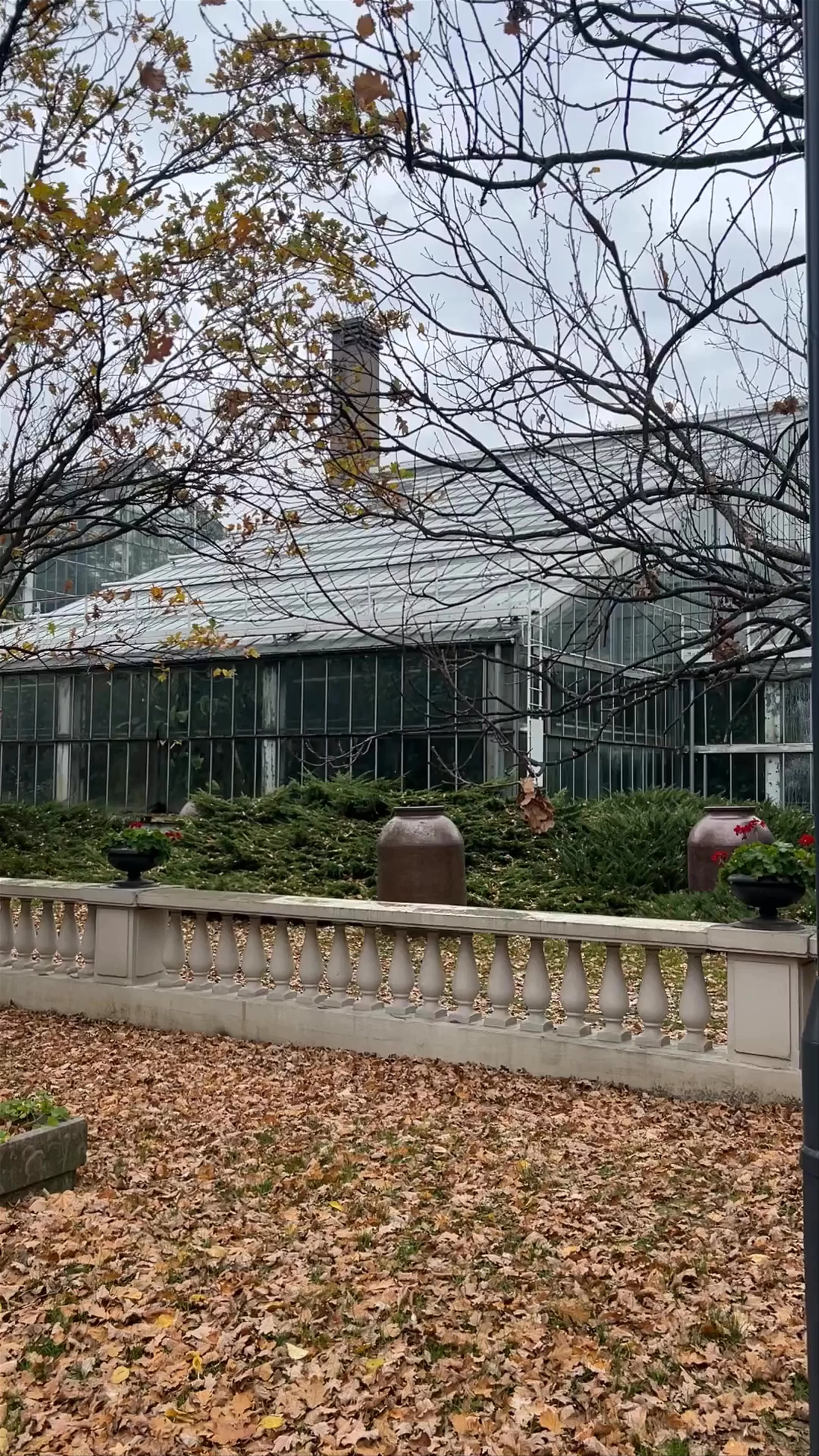 Poznań Palm House