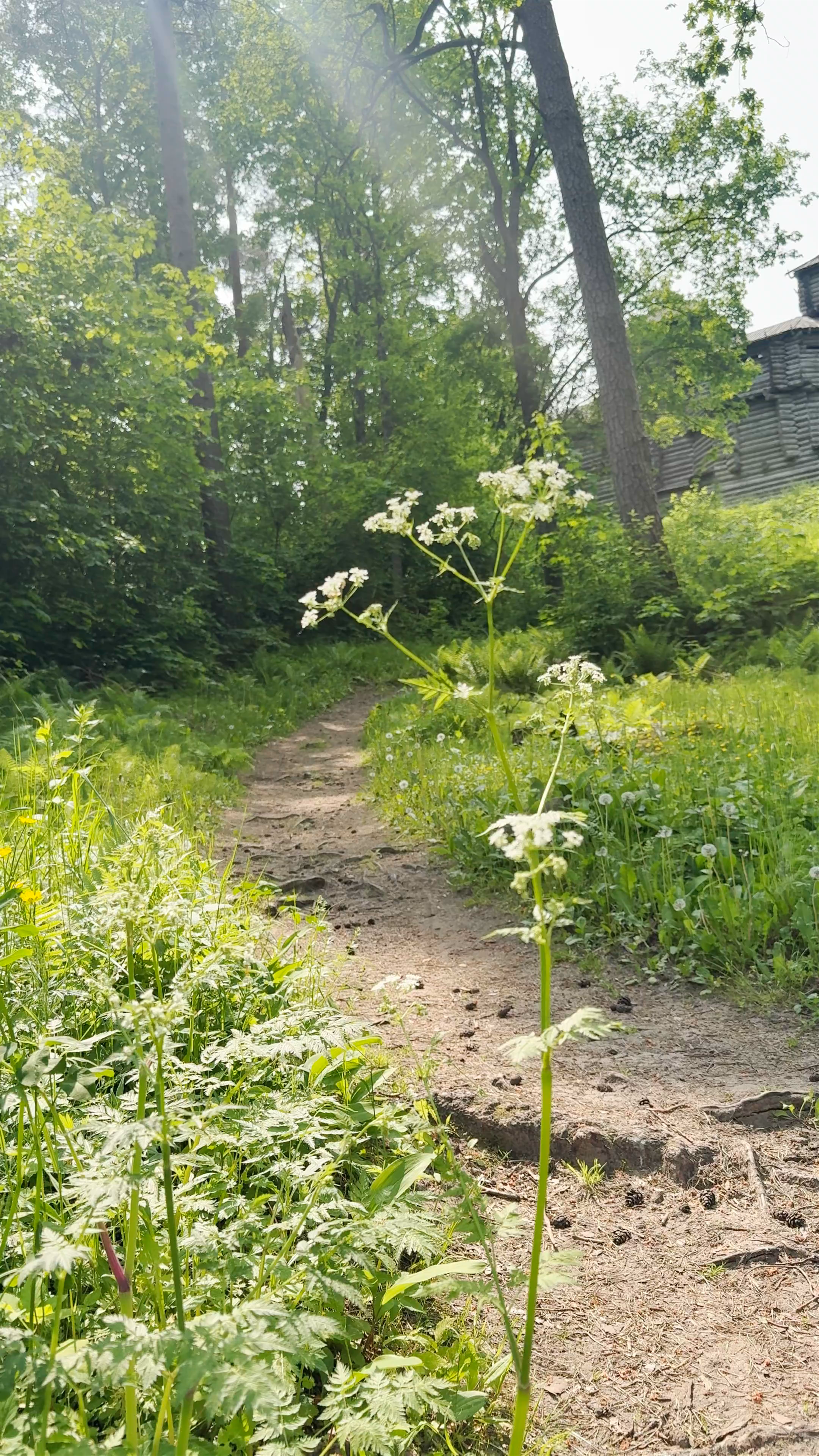 Tērvete Wooden Castle