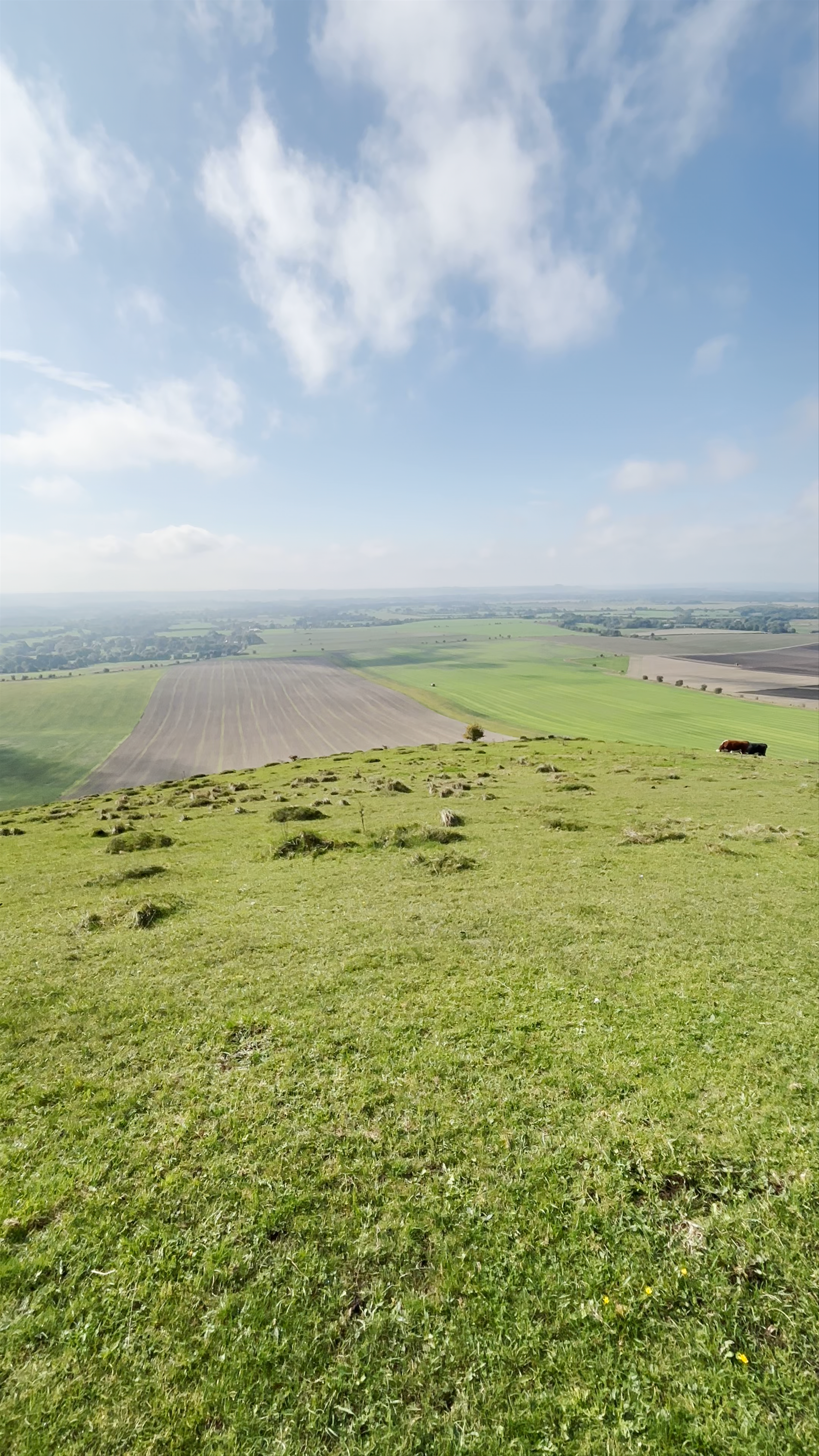 The Alton Barnes White Horse
