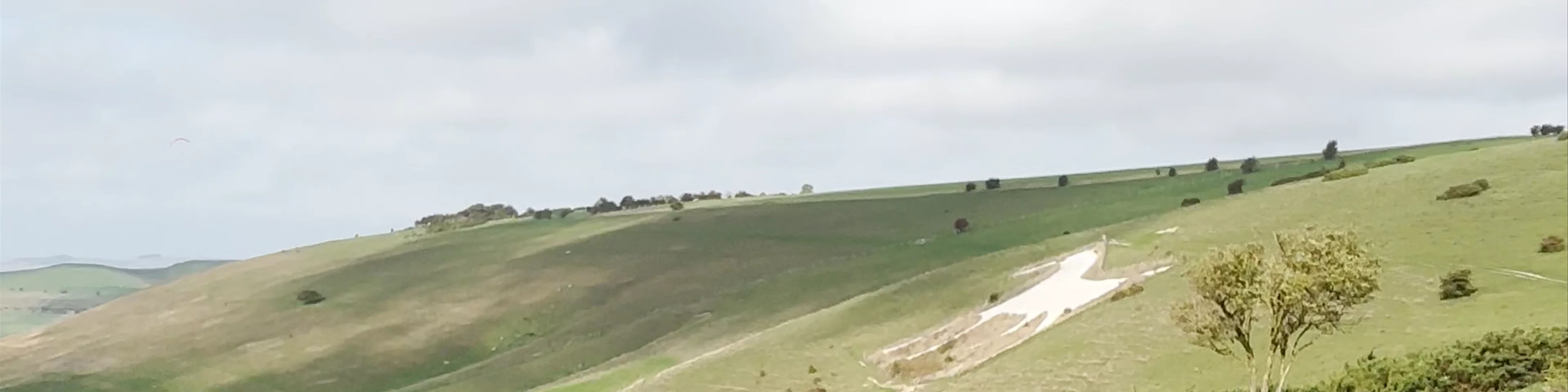 The Alton Barnes White Horse