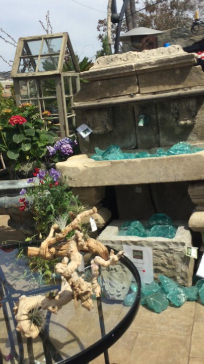 Laguna Nursery - Not your ordinary nursery - Nurseries & Gardening Near Me - Laguna Beach, California