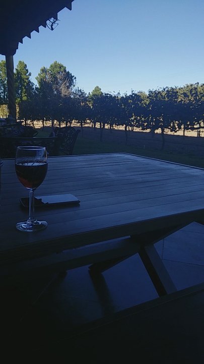 Zin Valle Vineyards - Nice music, relax spot, wine... - Wineries Near Me - Canutillo, Texas