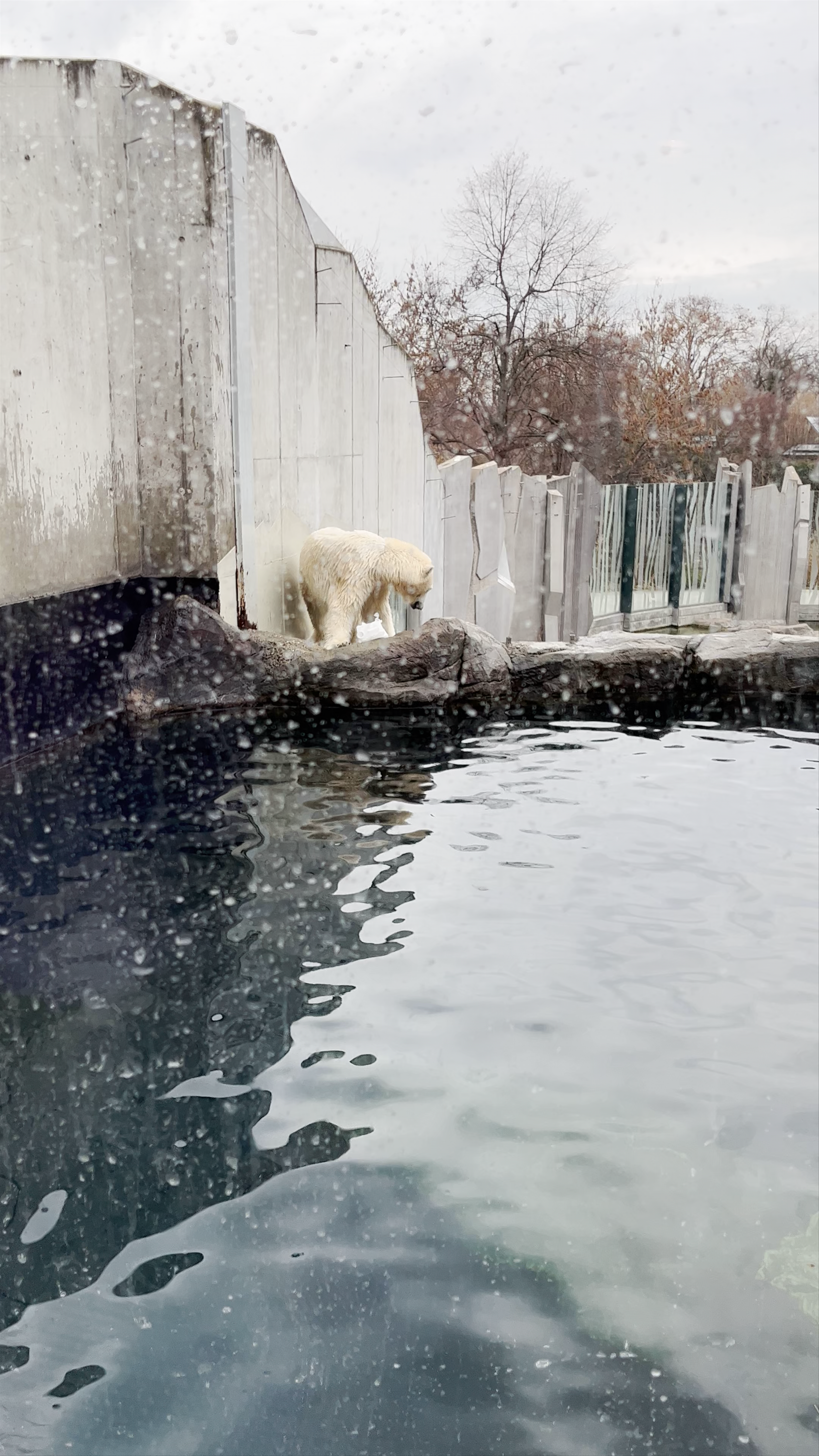 Schönbrunn Zoo