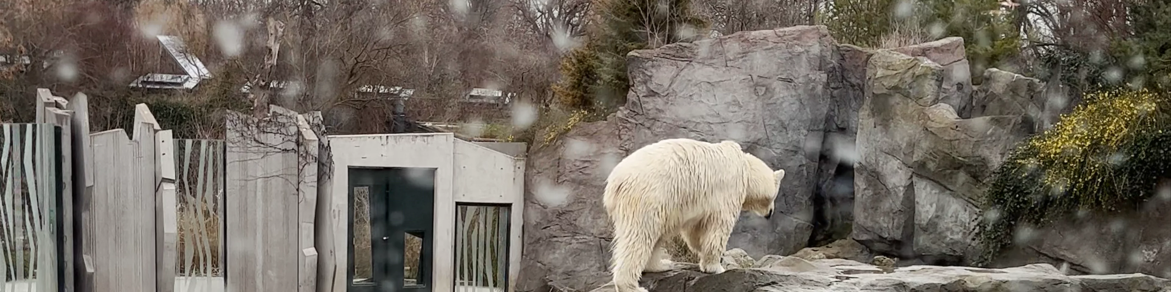 Schönbrunn Zoo