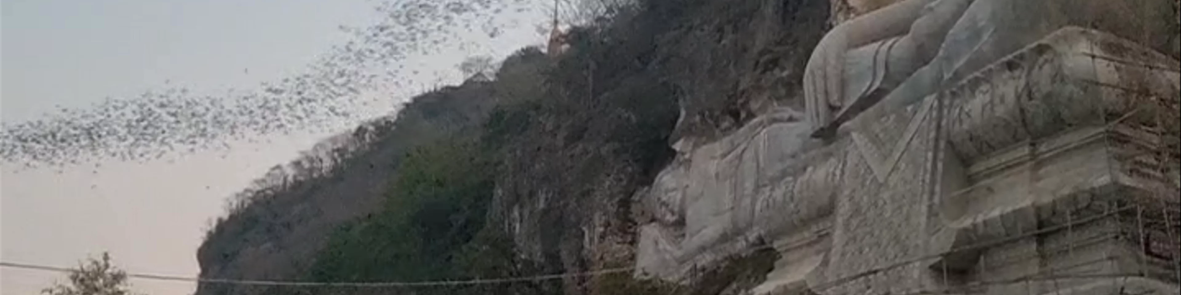 Bat cave of Phnom Sampov