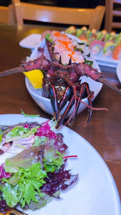 Opus Sushi - Live Pacific lobster sashimi - Japanese Near Me - Arcadia, California