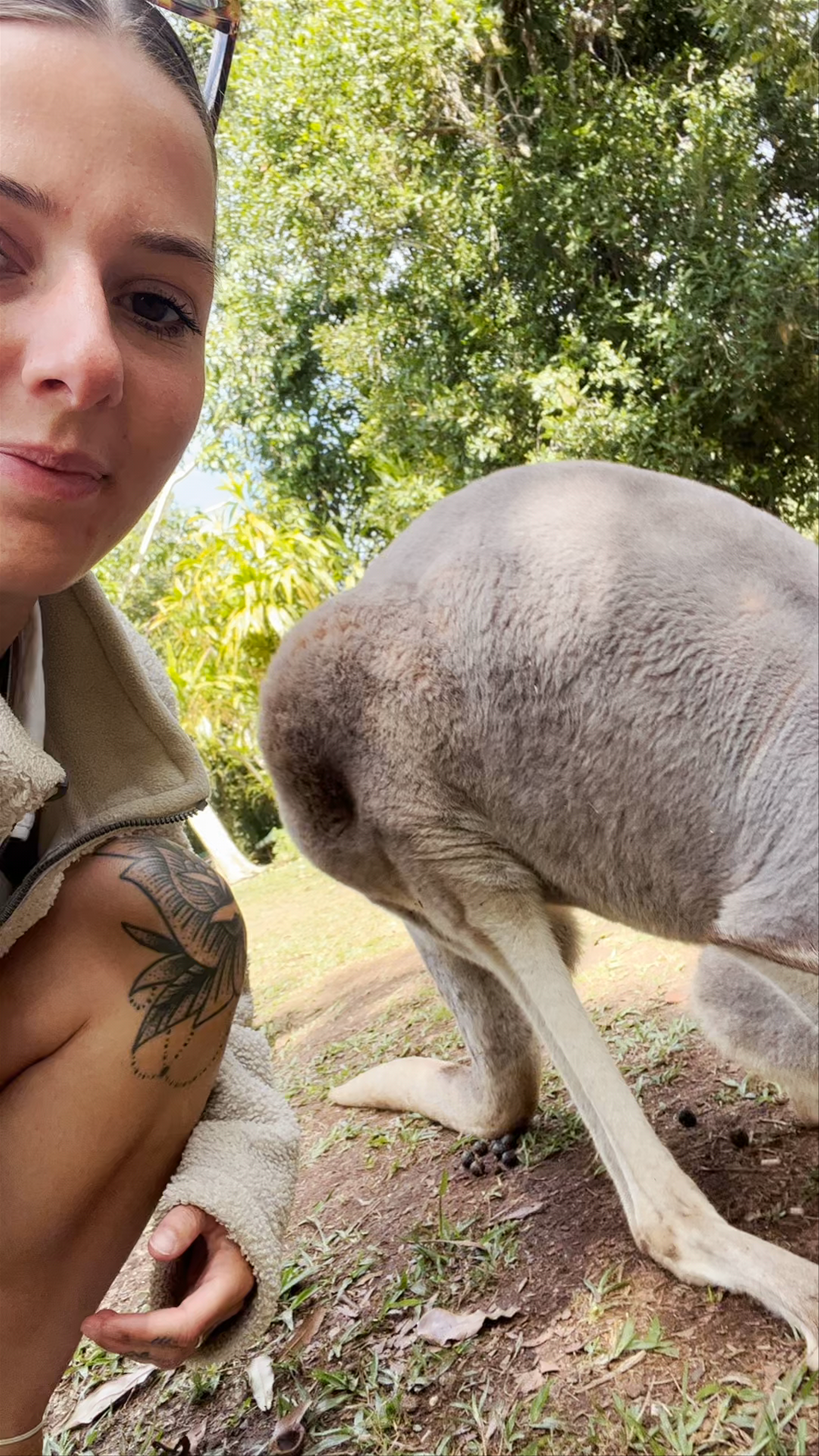 Australia Zoo Wildlife Encounter: Up Close with Kangaroos