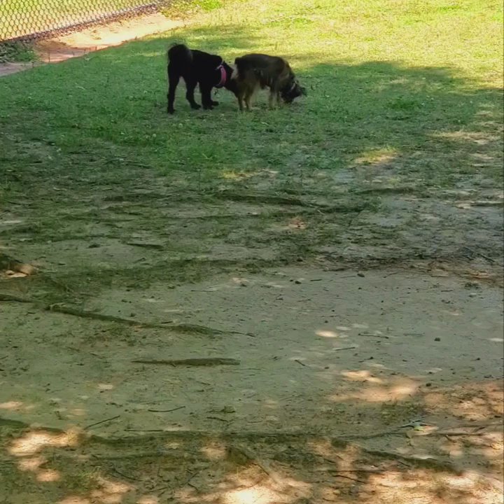 Graves Park - Not the best video. - Parks Near Me - Norcross, Georgia