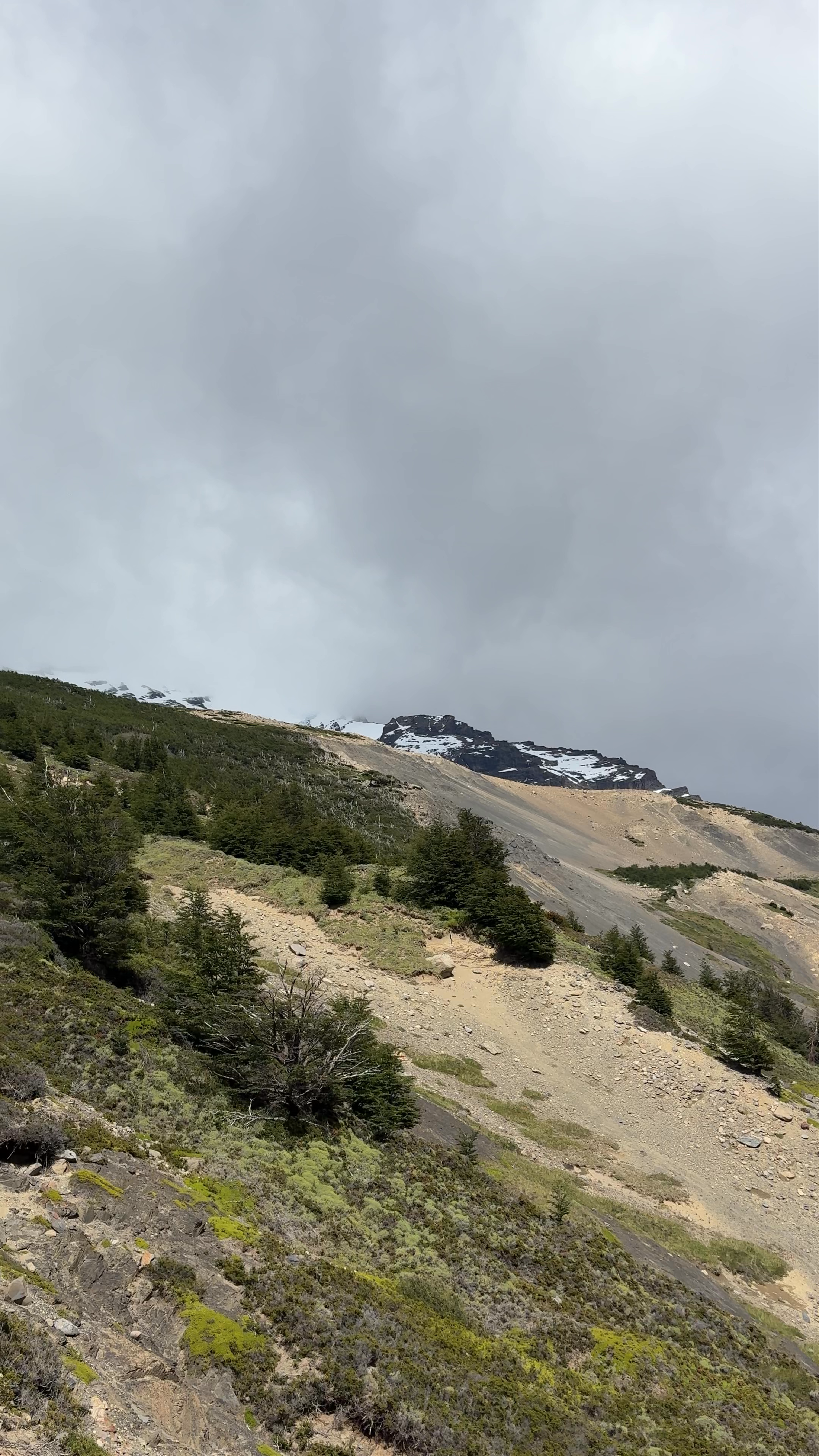 Majestic Wilderness Hike in Torres del Paine National Park, Chile