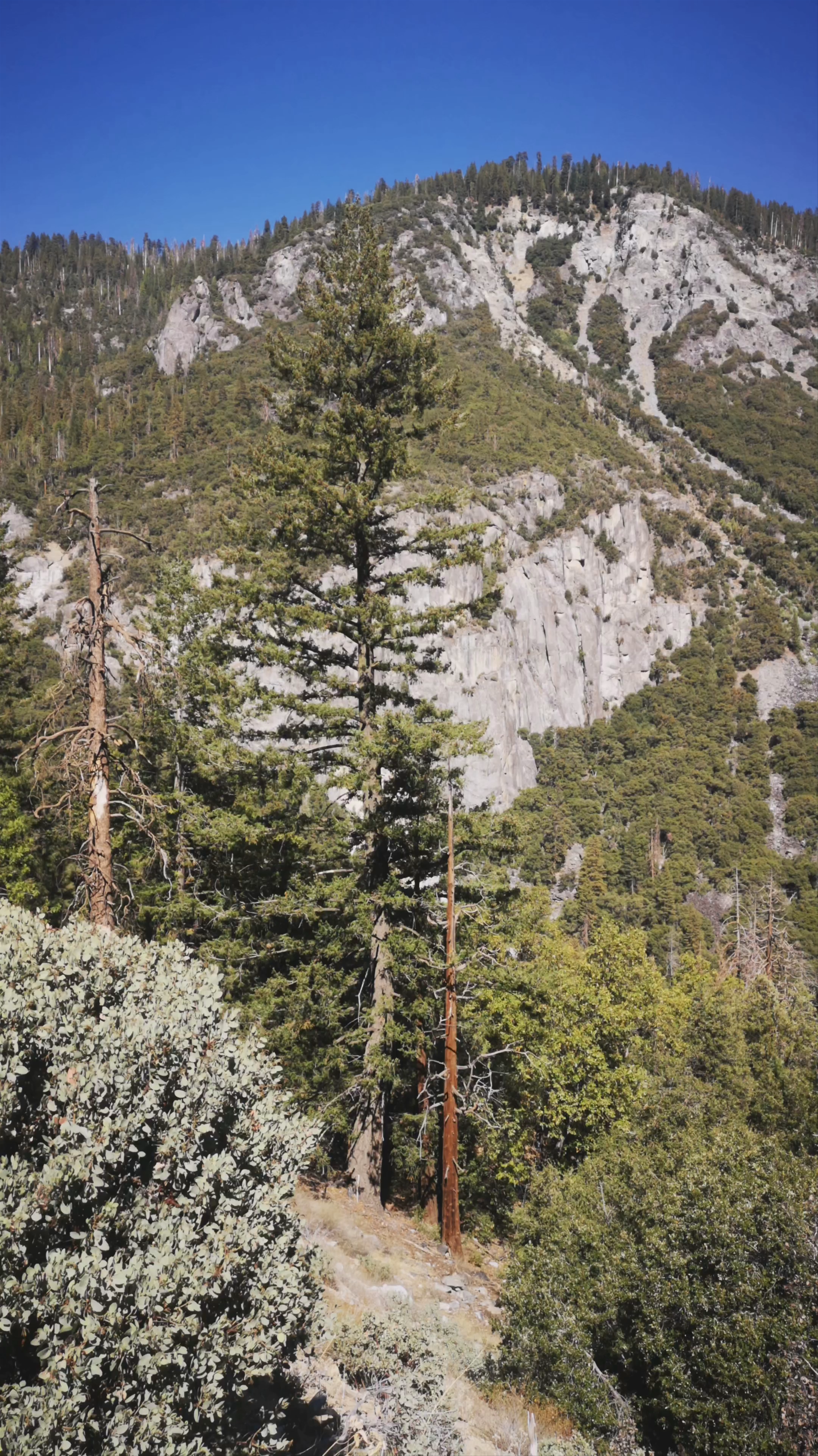 Tunnel View, Yosemite National Park: Awe-Inspiring Mountain Vistas