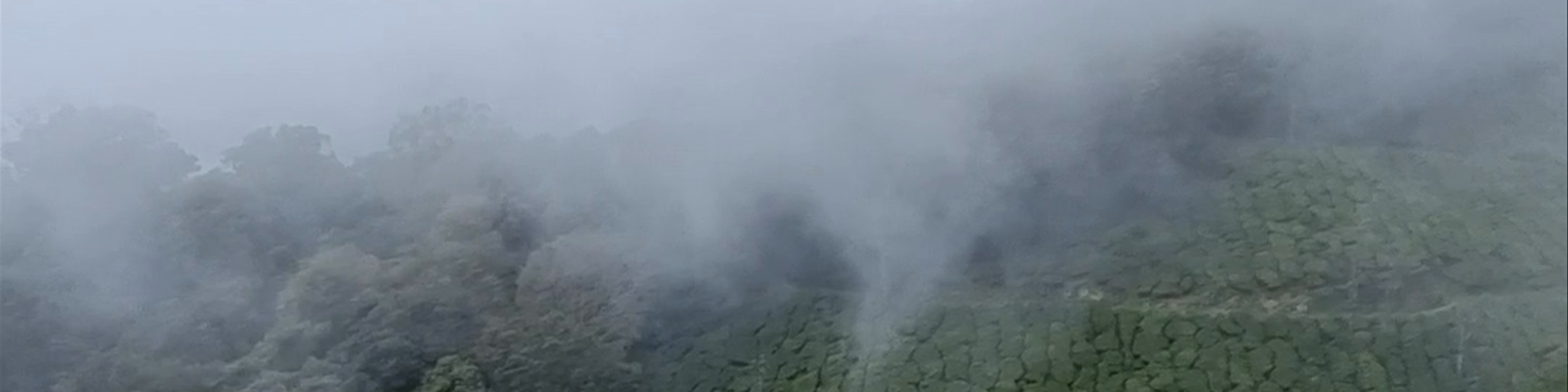 Kerala