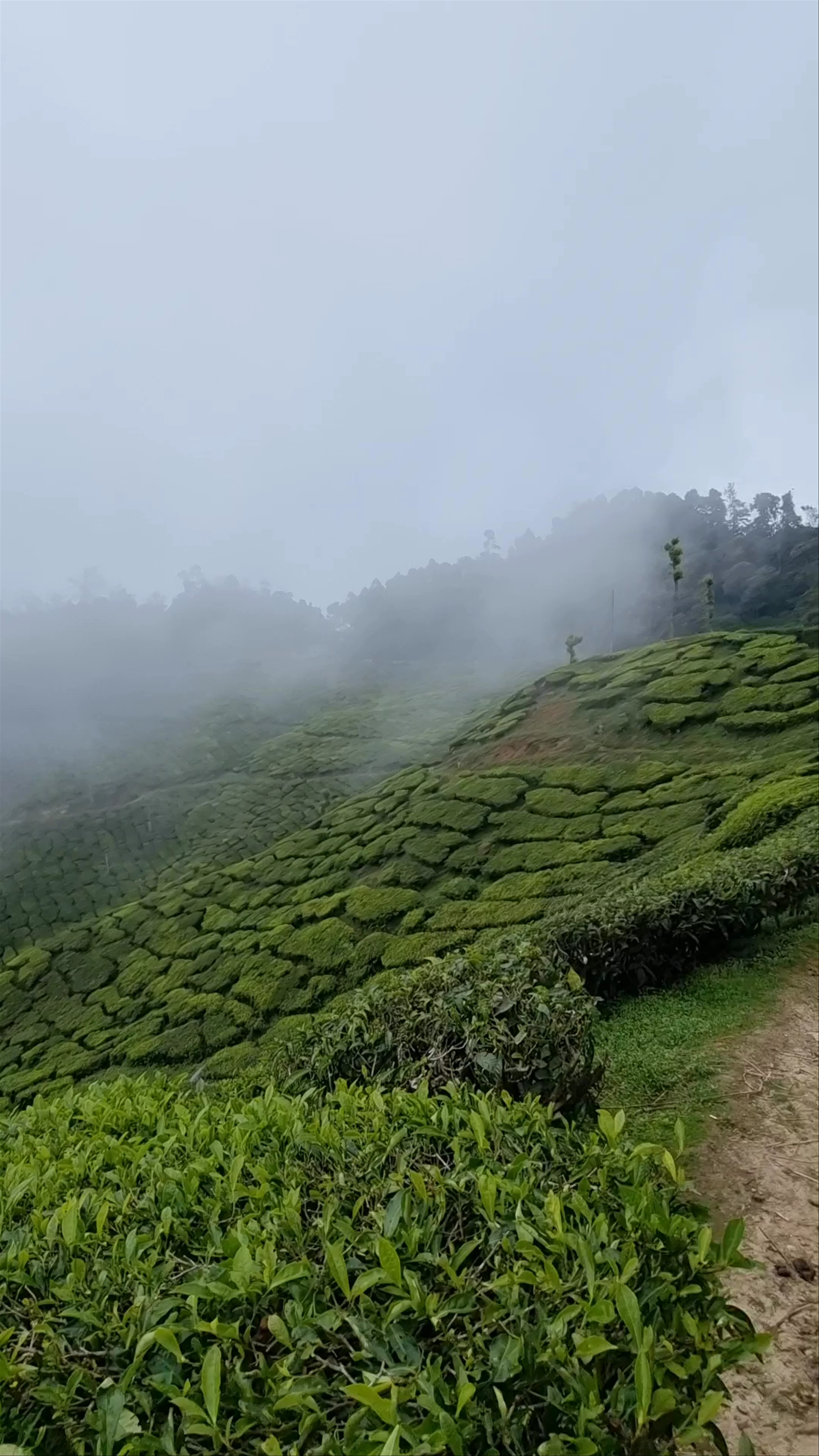 Top Station Munnar, Chittavurai Junction to Top Station Road, Top Station, Tamil Nadu, India