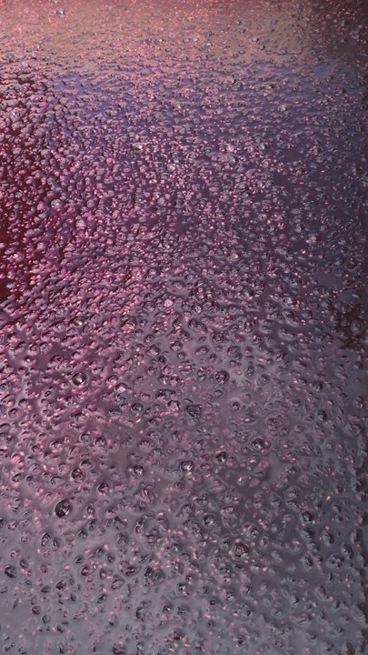 d'Art Wines - The fermentation process - Wineries Near Me - Lodi, California