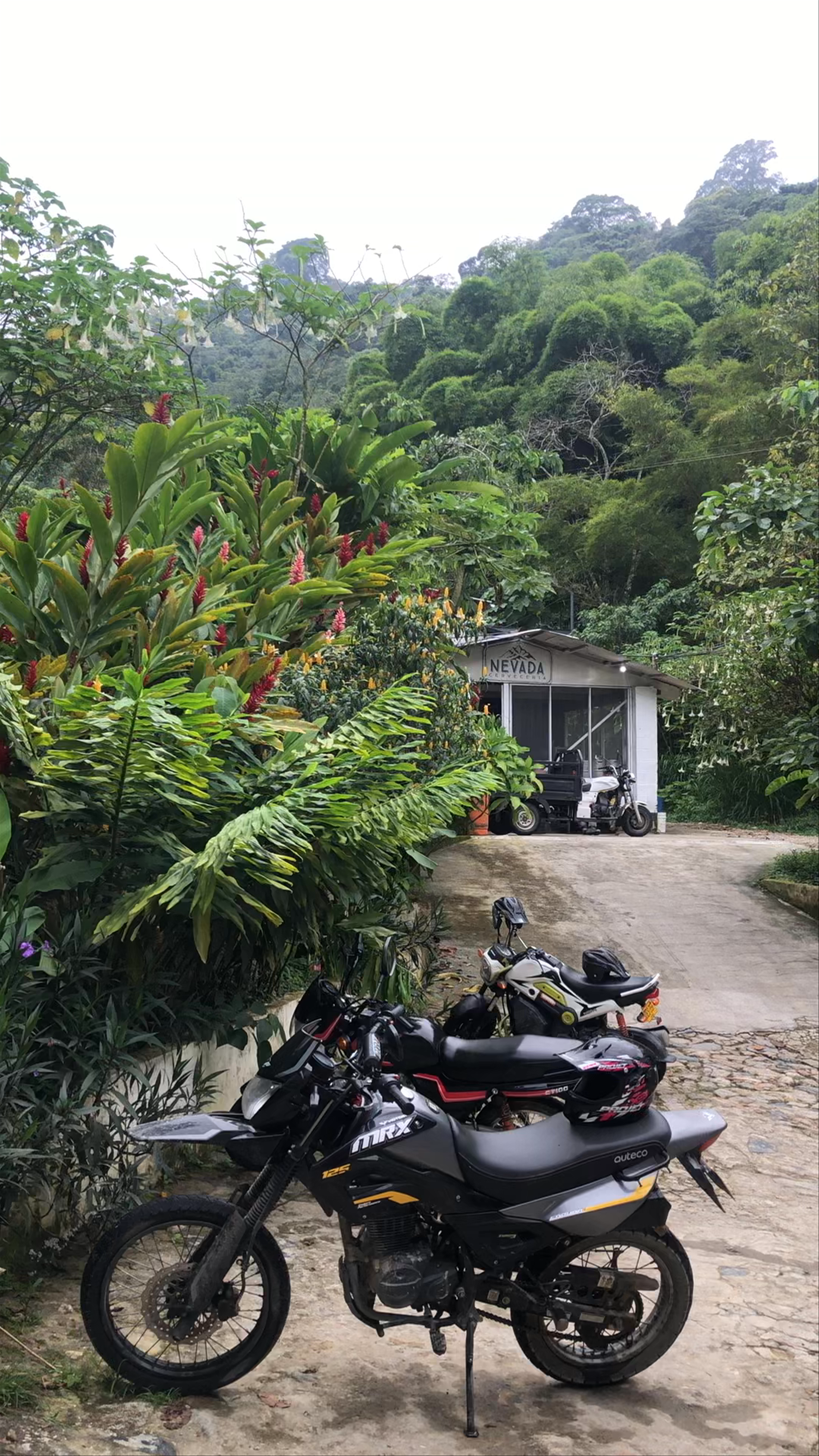 Finca Victoria