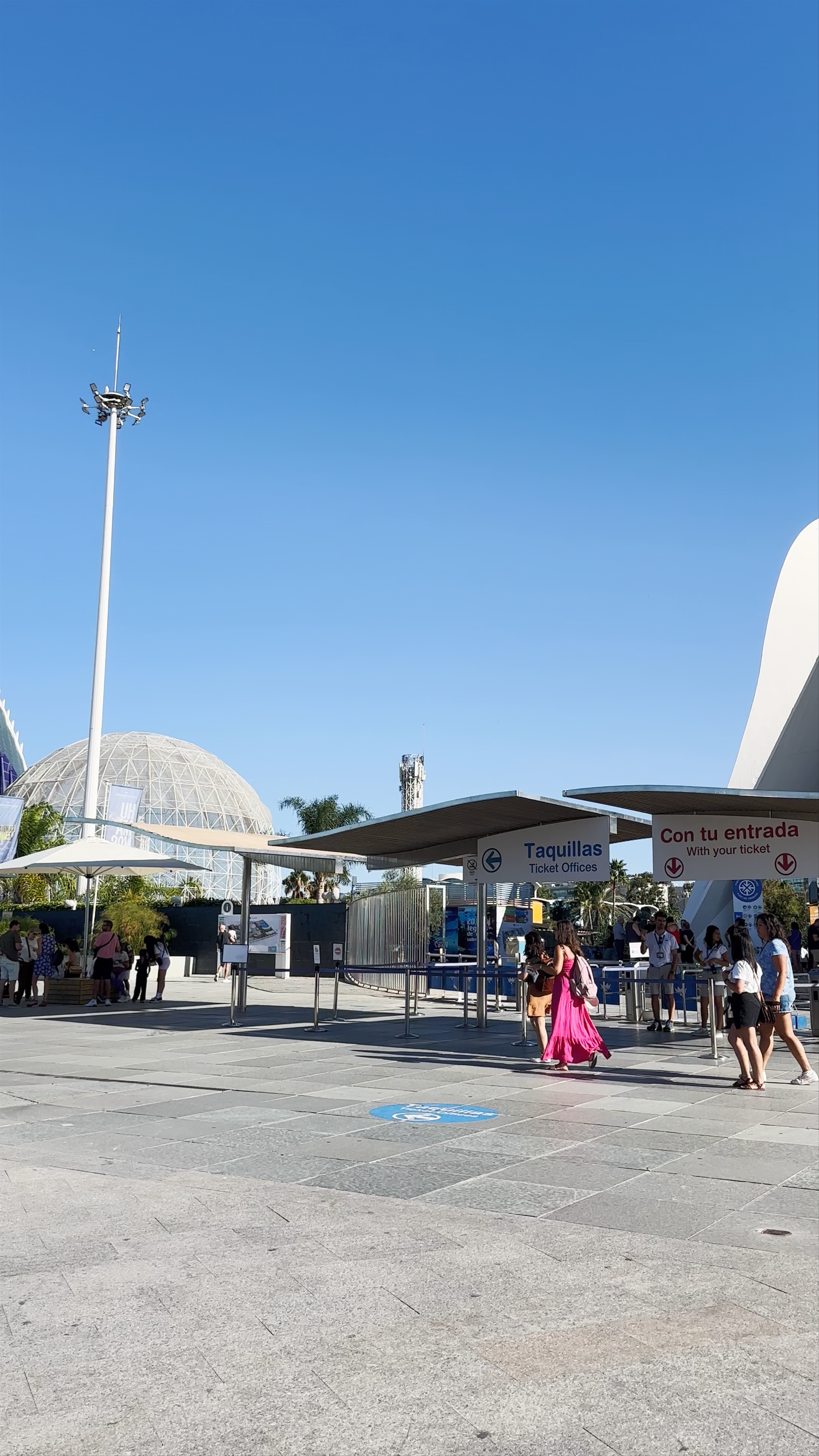 Oceanographic Valencia: Dive into the Wonders of Marine Life