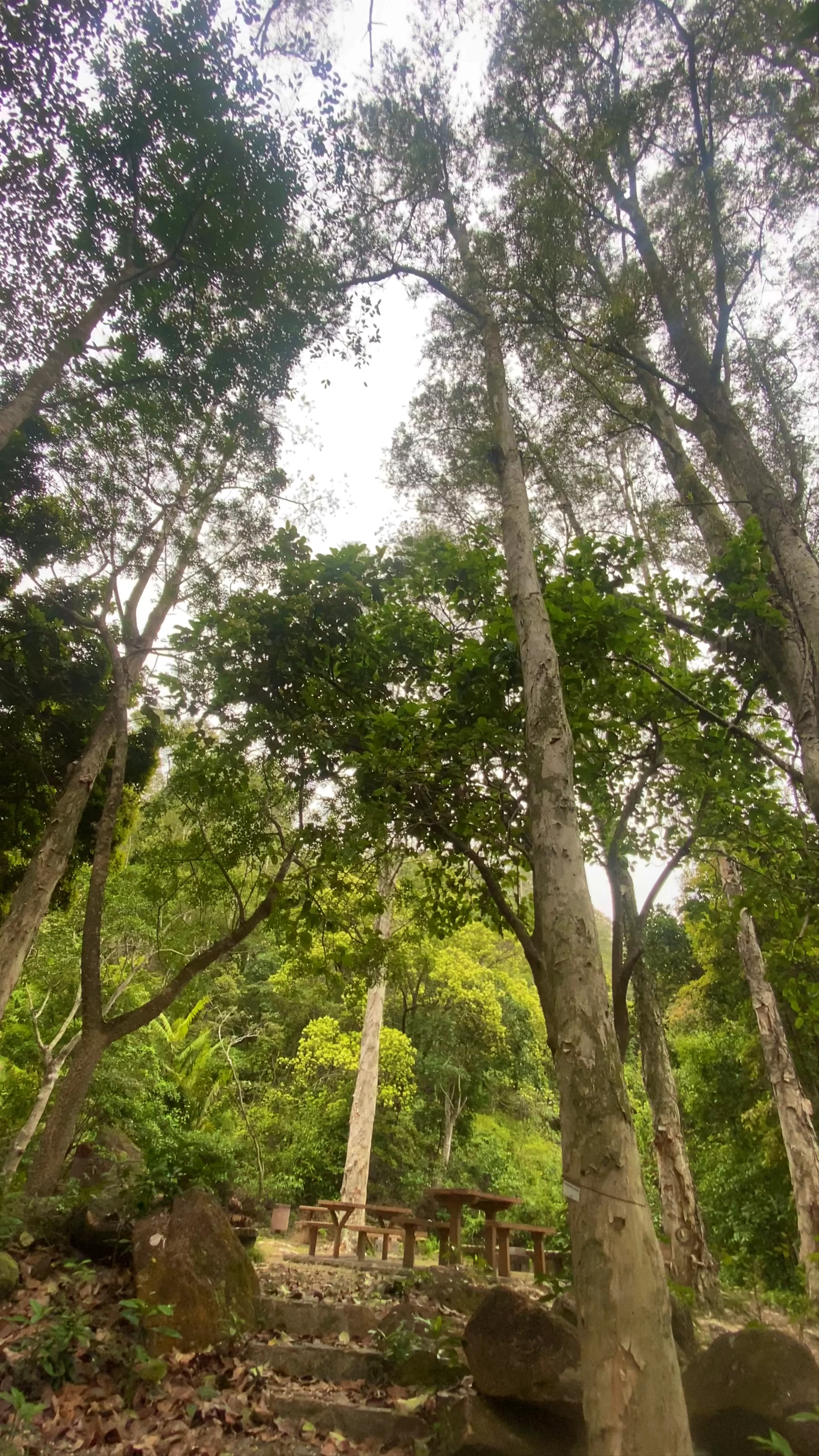 Hau Tong Kai Campsite