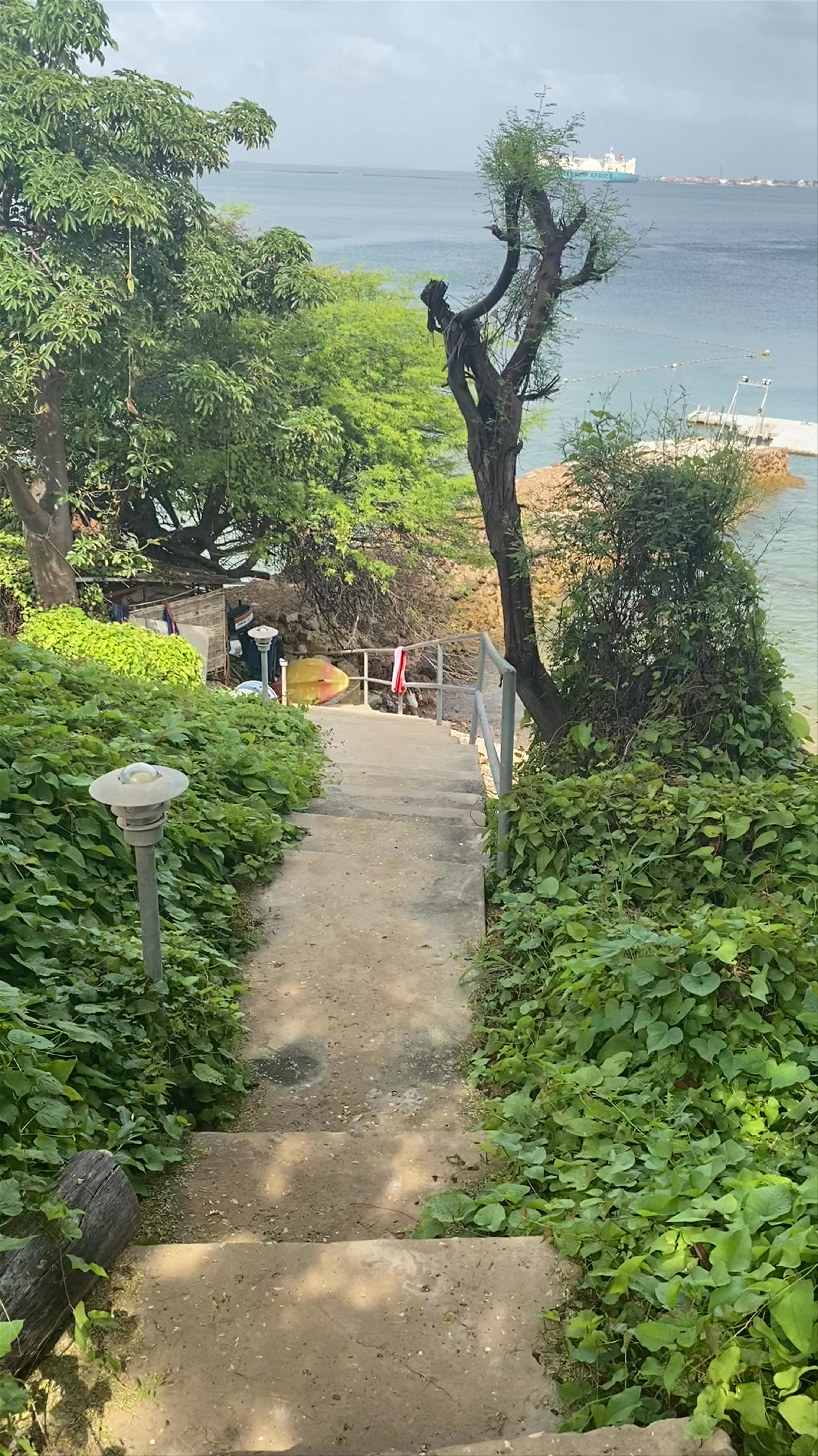 Union Amicale Corse Dakar