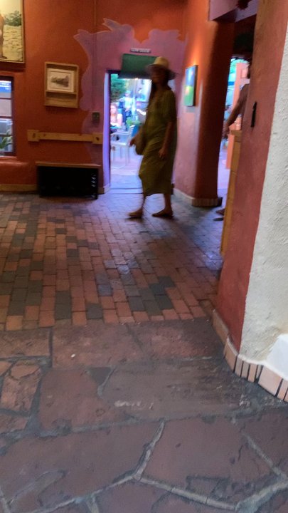 The Shed - New Mexican Cuisine Near Me - Santa Fe, New Mexico