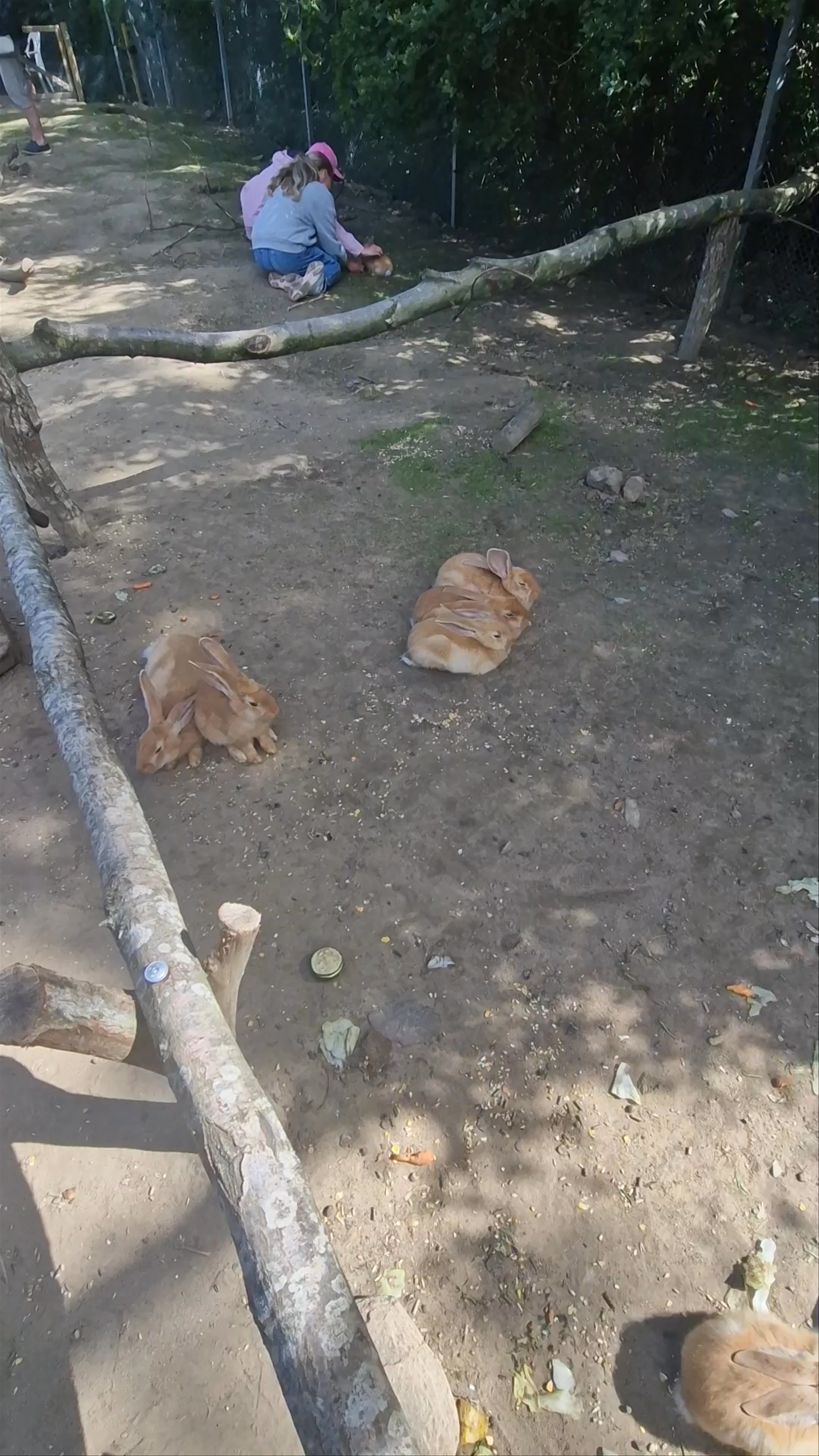 Helsingborgs Djur- och Lekpark