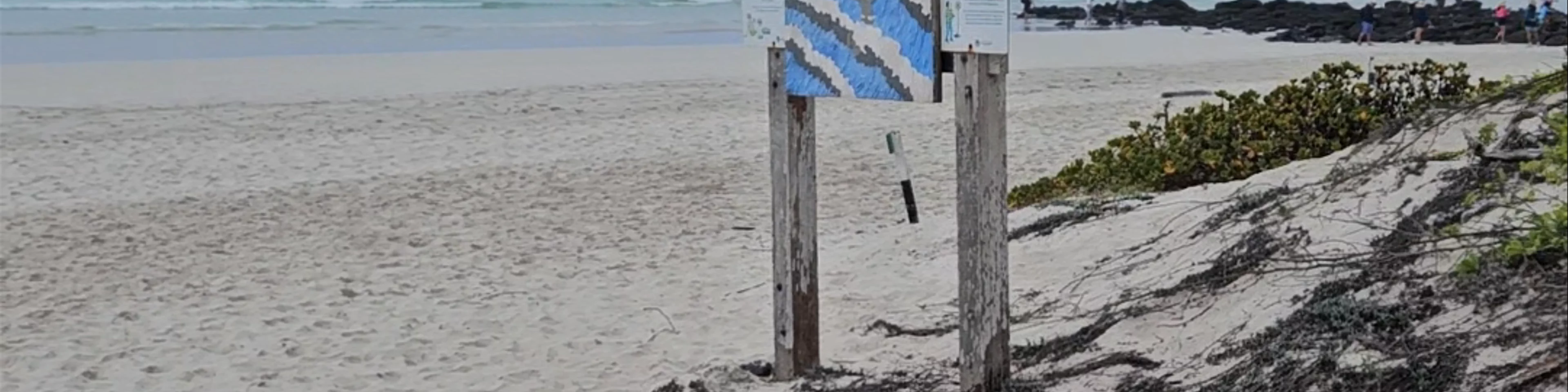 Tortuga Bay