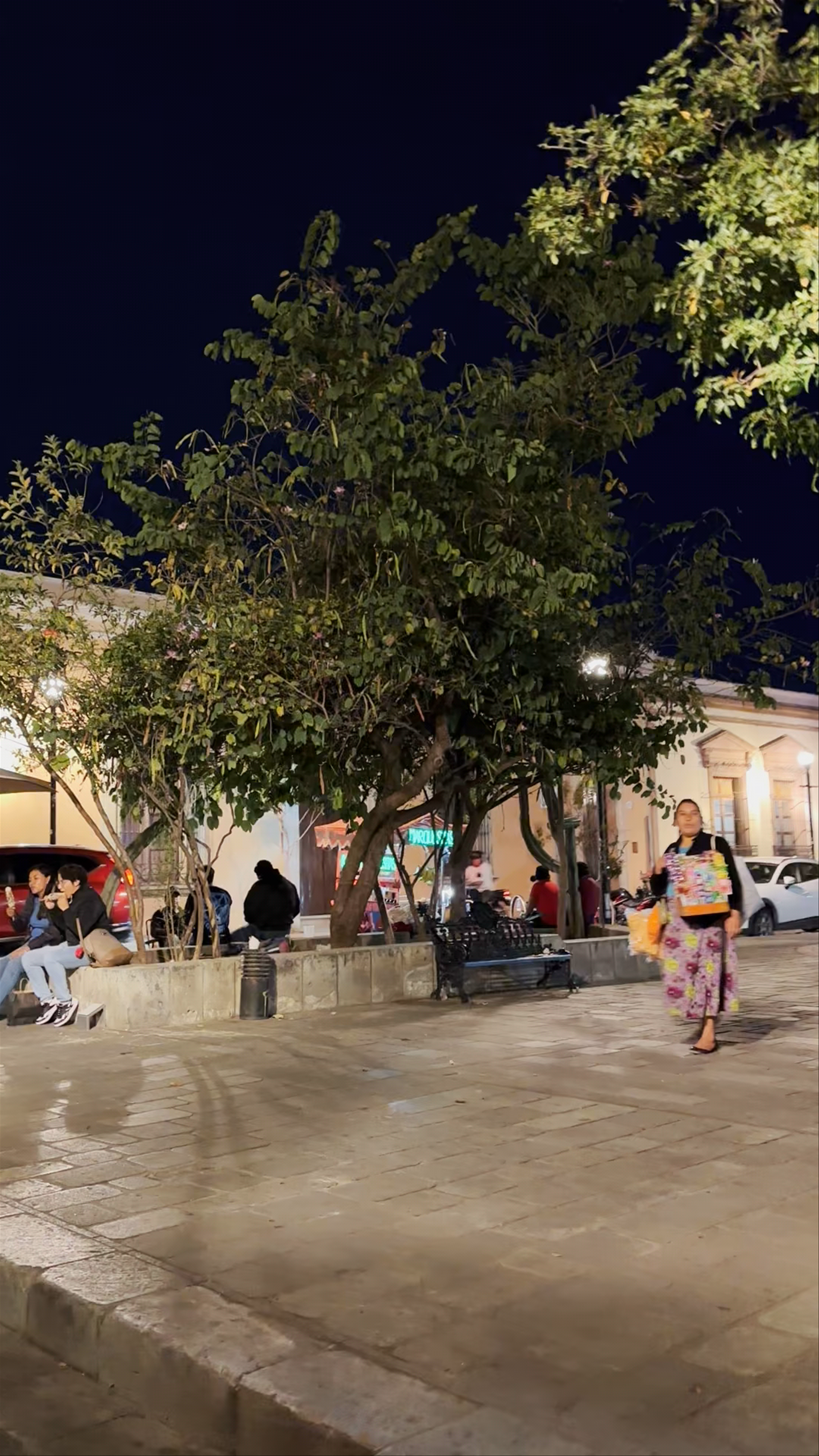Jardín Antonia Labastida