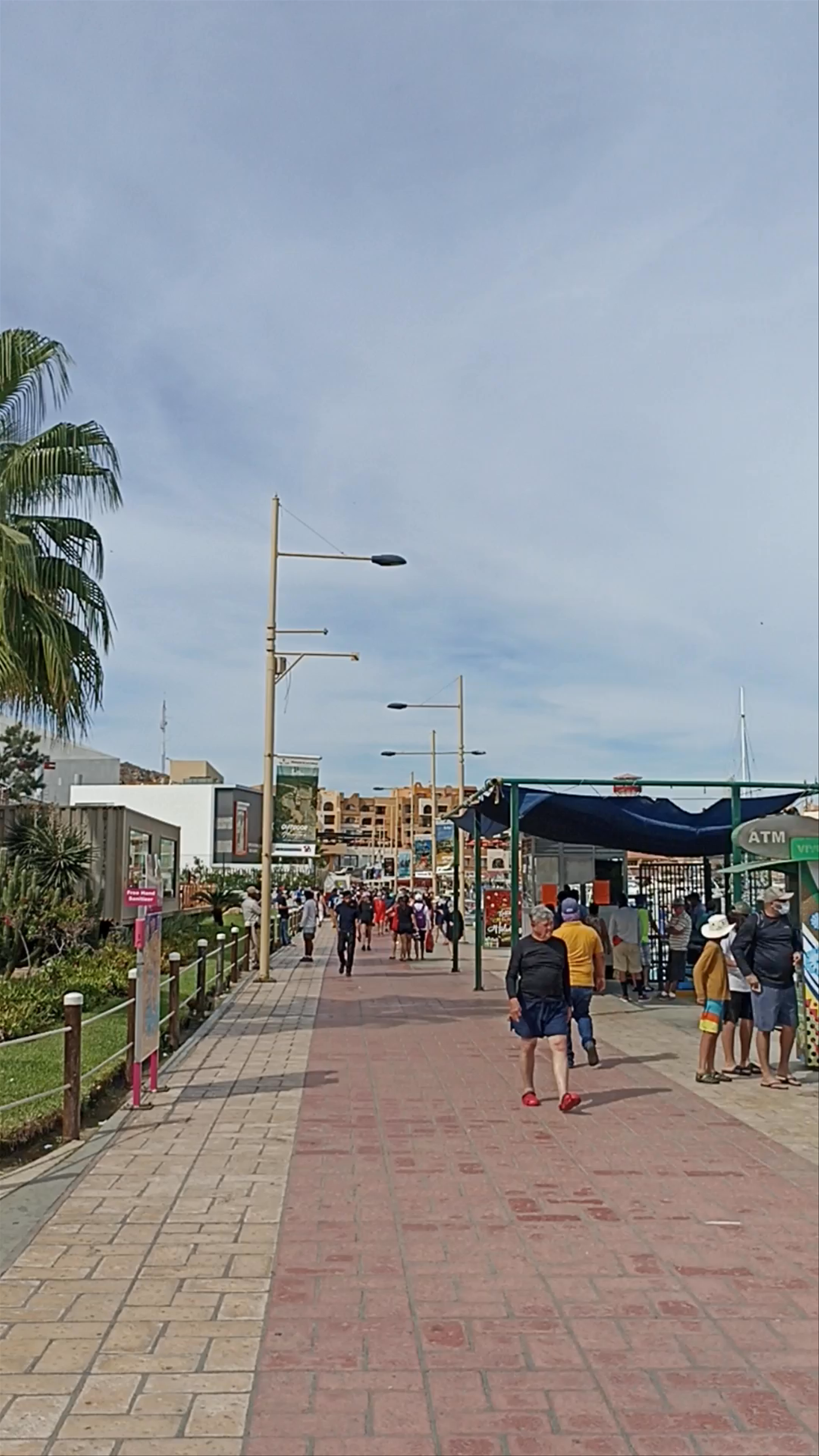 Cabo Adventures: Thrill and Tropical Vibes in Cabo San Lucas Marina