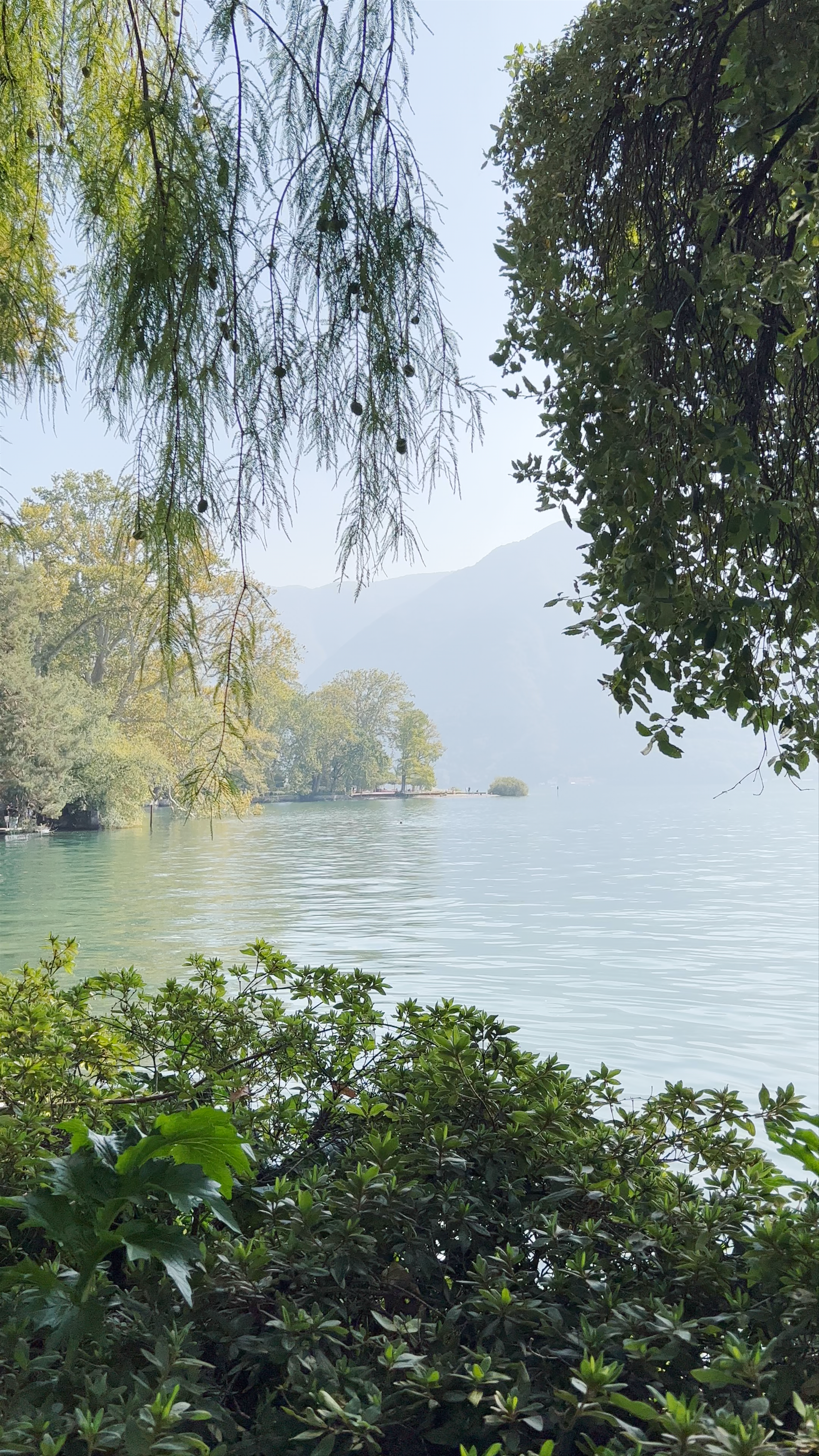 Parco Ciani