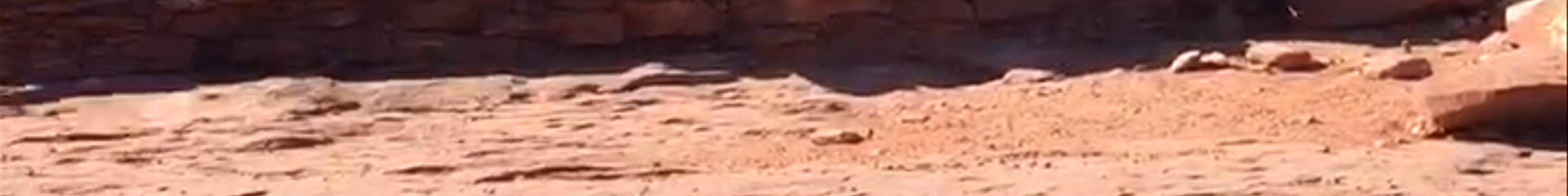 Tours & experiences in West Sedona