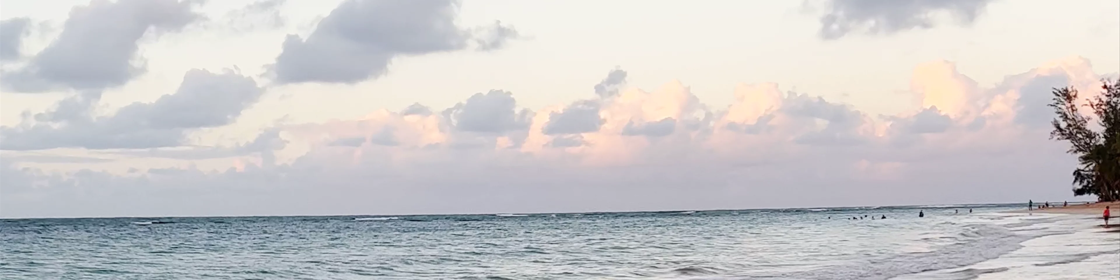 Playa Las Ballenas