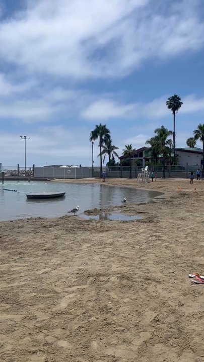 Seaside Lagoon - I was very surprised it was not packed - Beaches Near Me - Redondo Beach, California