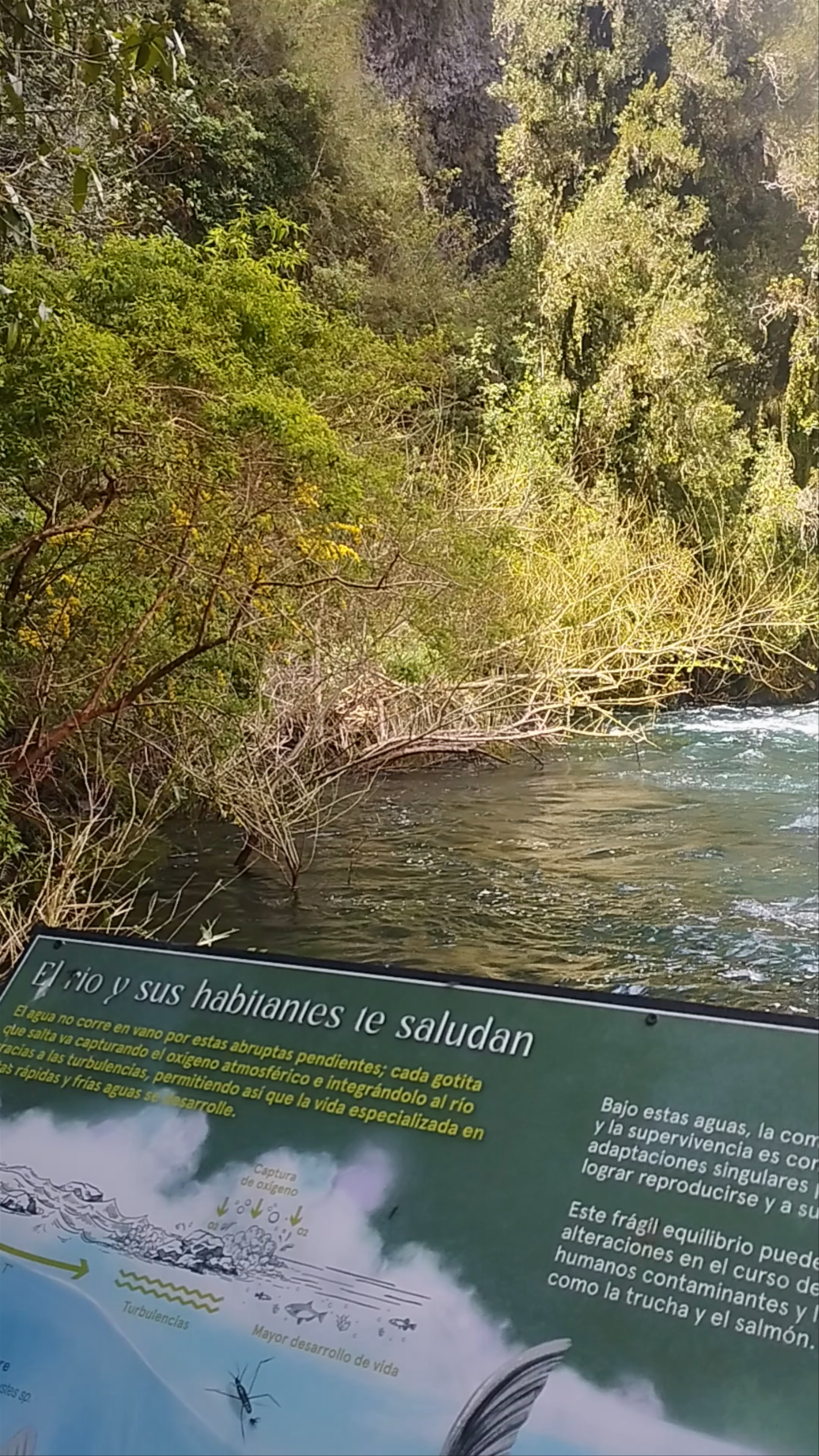 Huilo Huilo Reserva Biológica