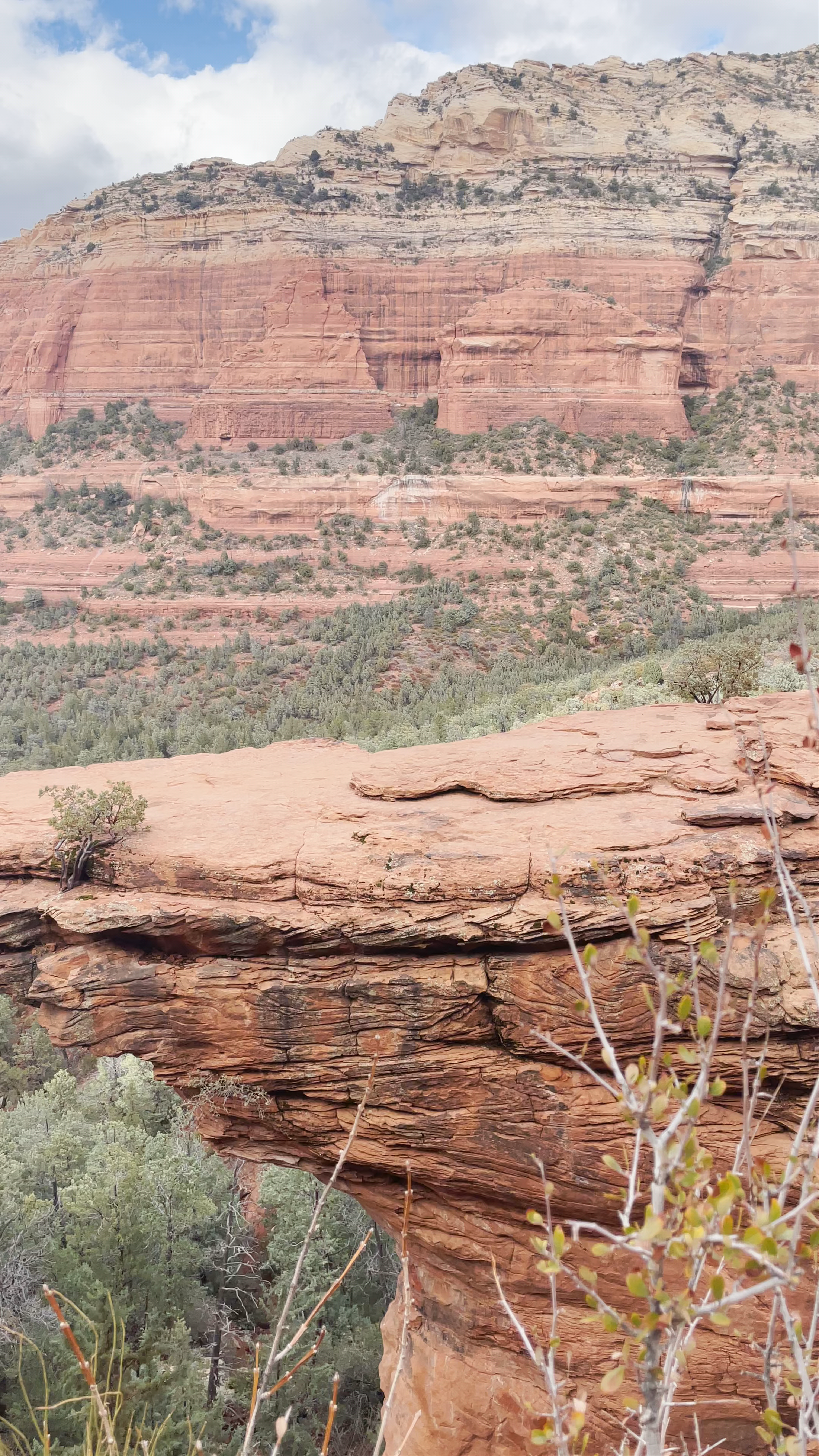 Devil's Bridge Trail