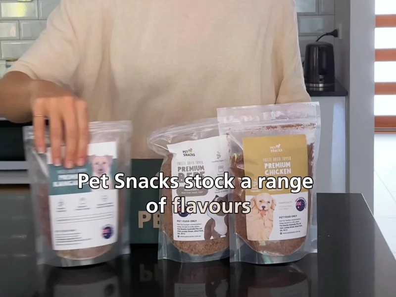 My Number 1 tip for feeding a fussy dog
