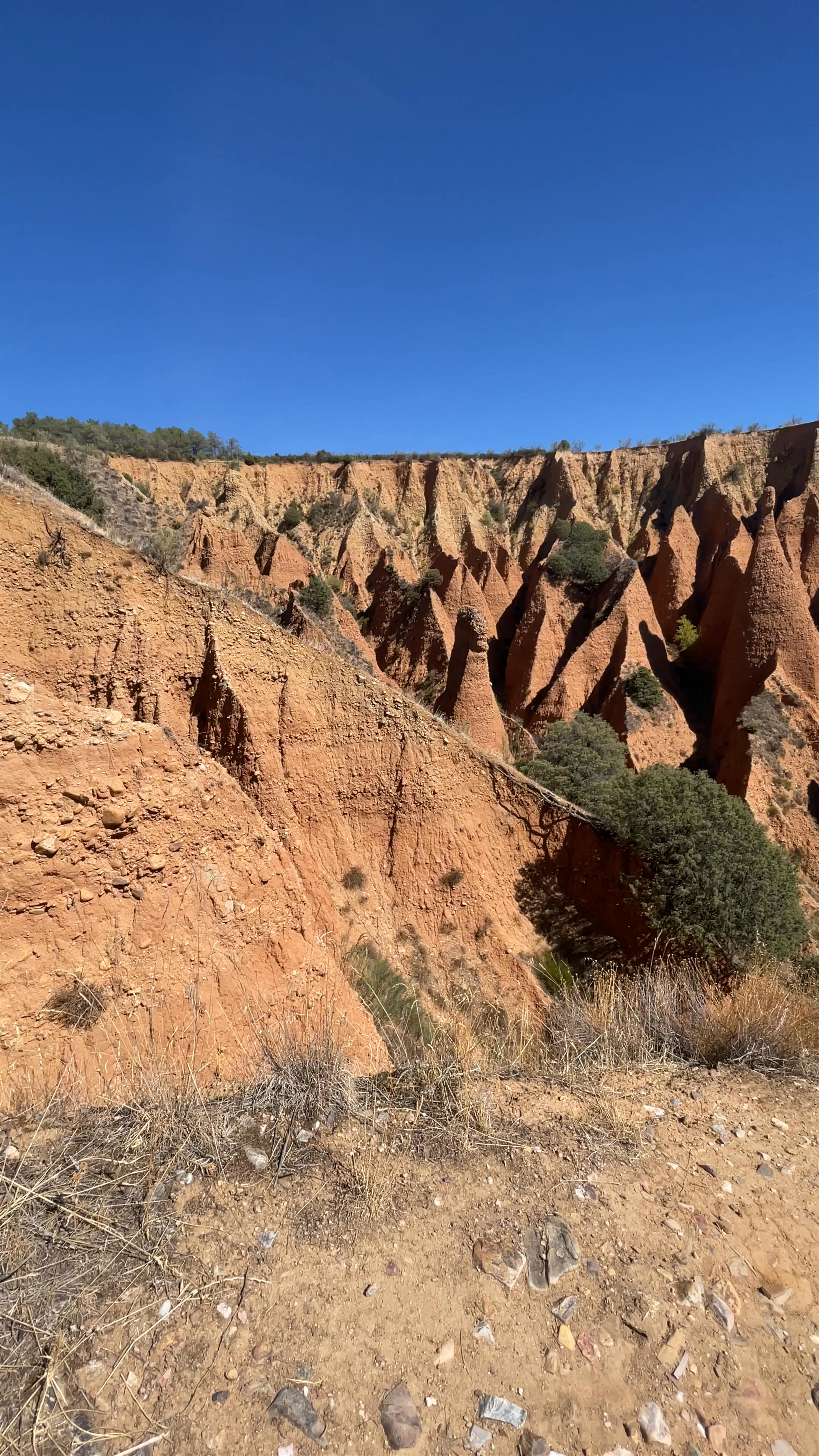 Embalse del Pontón de La Oliva