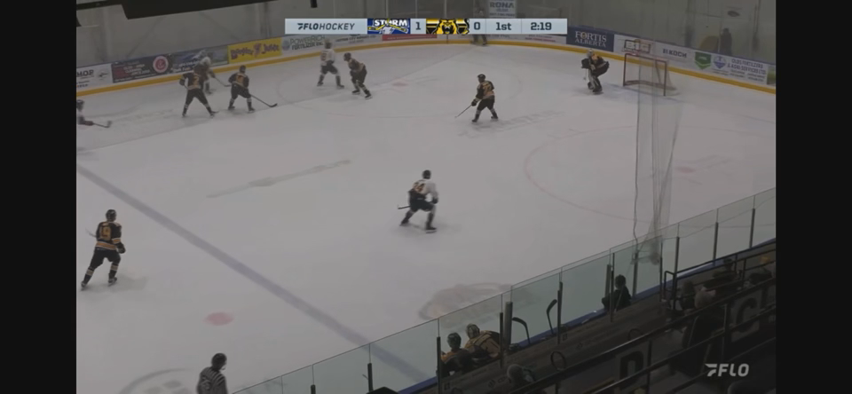 Connor Johnson's Spectacular Glove Save vs. GP Storm