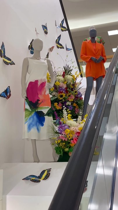 Dillard's - Dillard's spring - Department Stores Near Me - Asheville, North Carolina