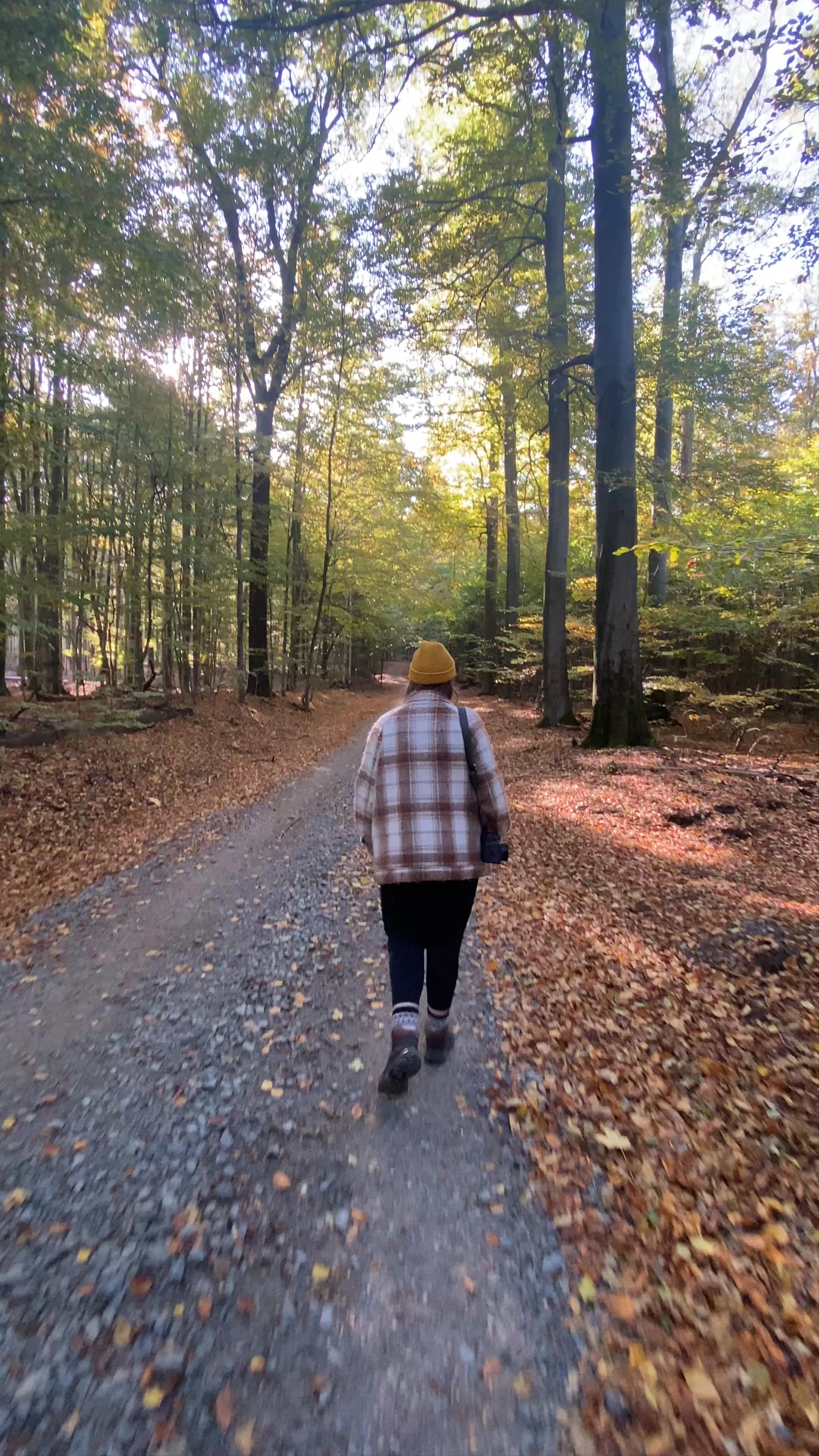 Elbleitenweg - Wurzelweg