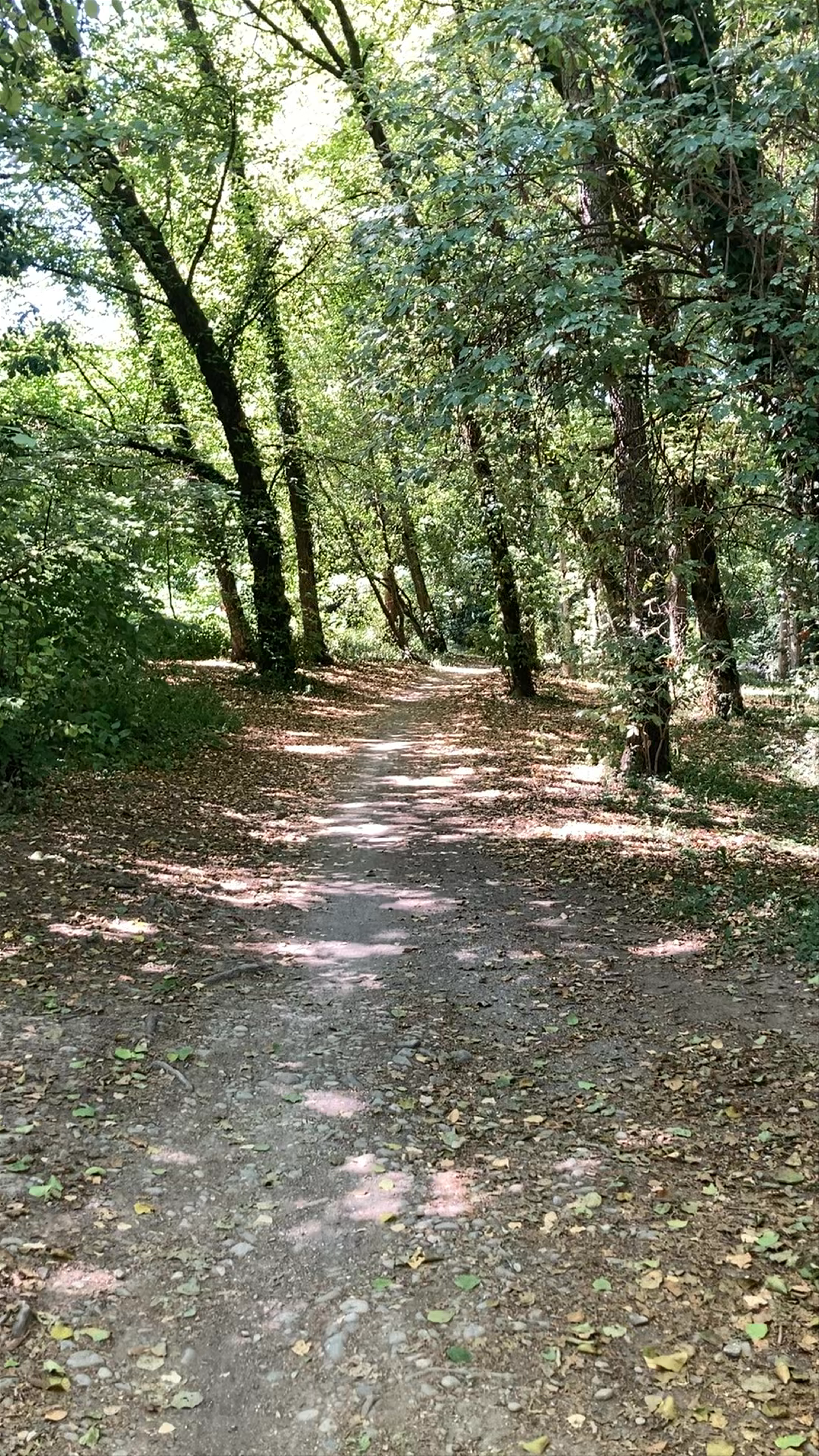 Serene Forest Trail and Urban Graffiti at Promenade du Thiou, Annecy